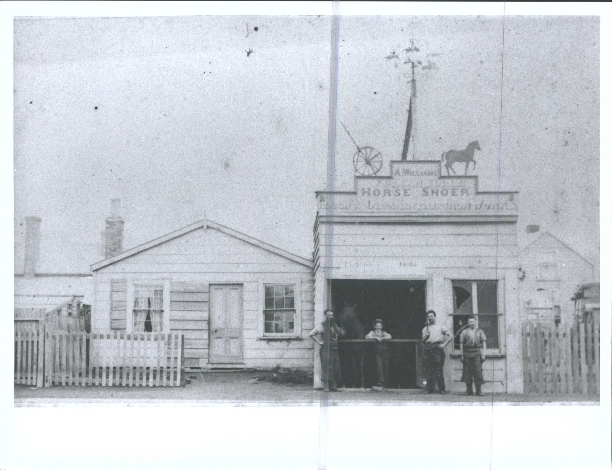 Alfred Williams, Horse Shoer