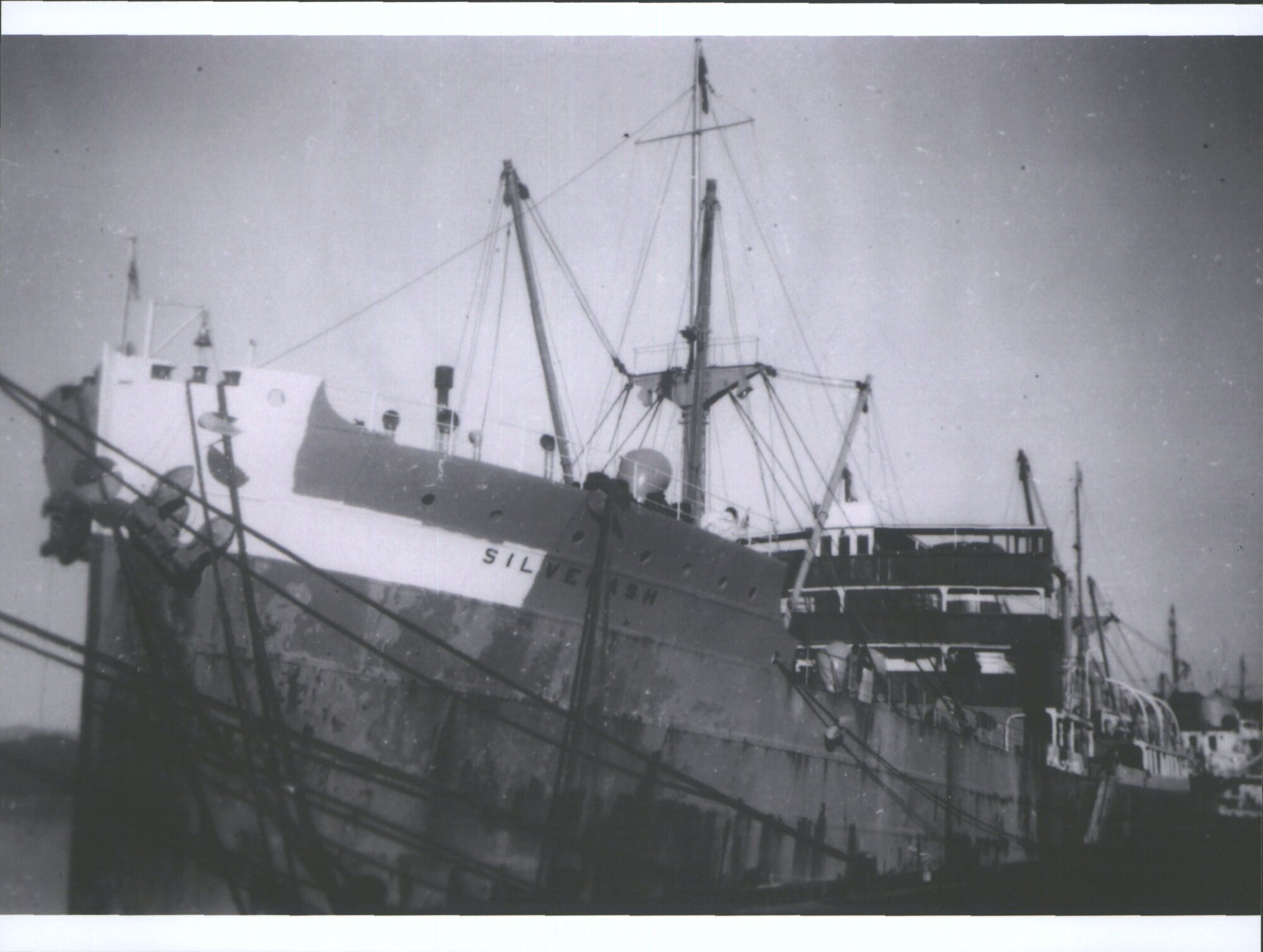 (Silver Line) Silver Ash