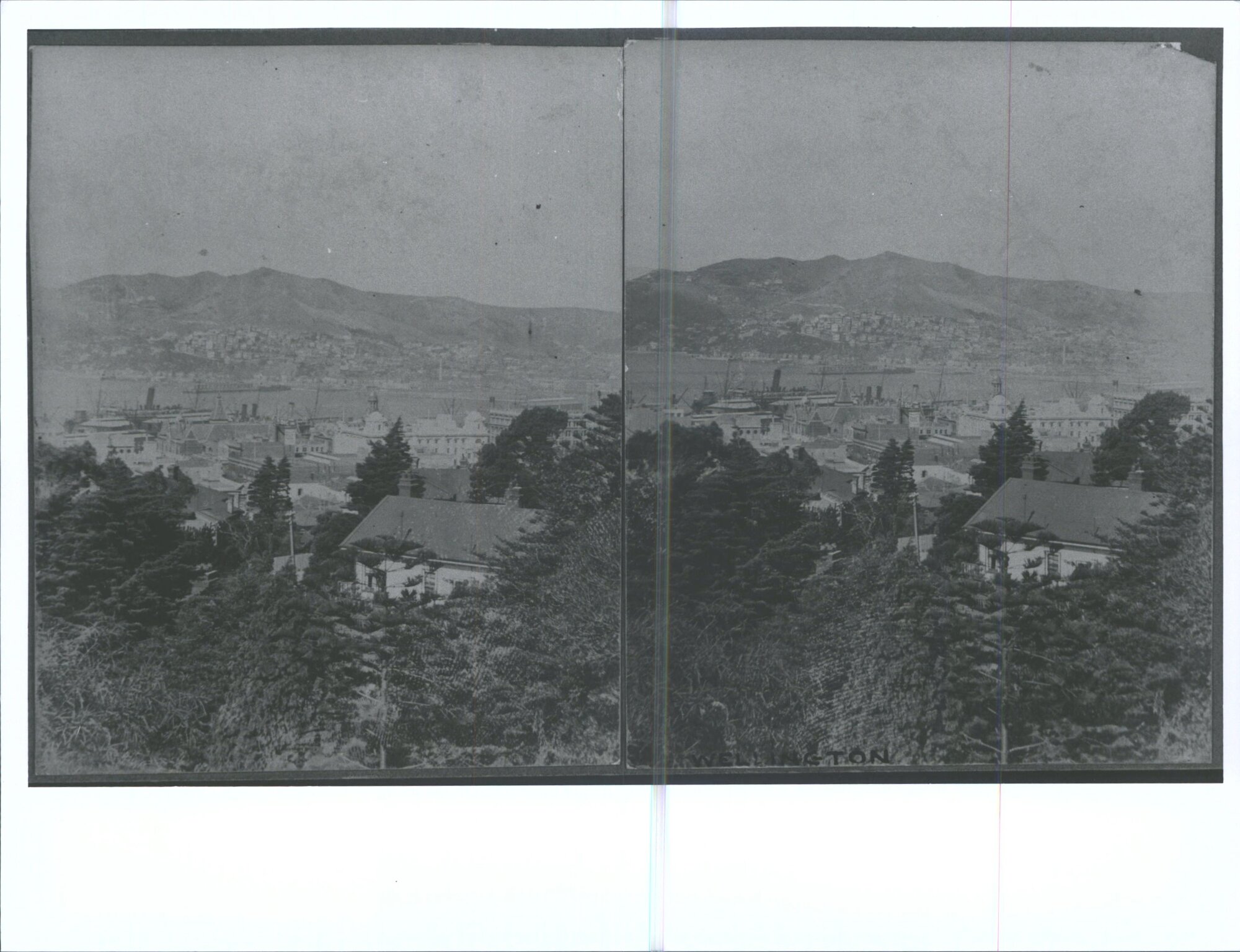 View over Wellington city and harbour