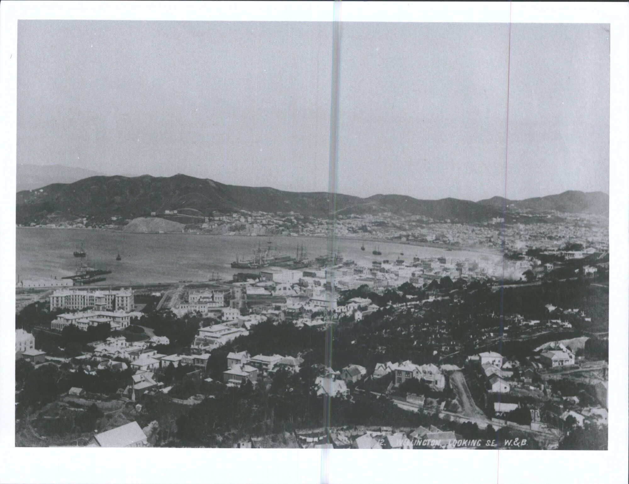 Wellington, looking S.E.