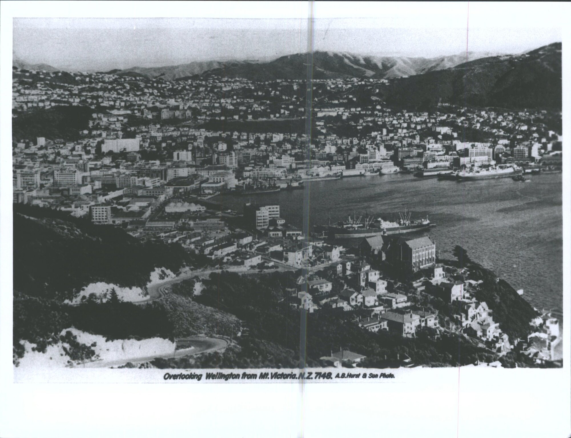 Overlooking Wellington from Mt. Victoria N.Z.