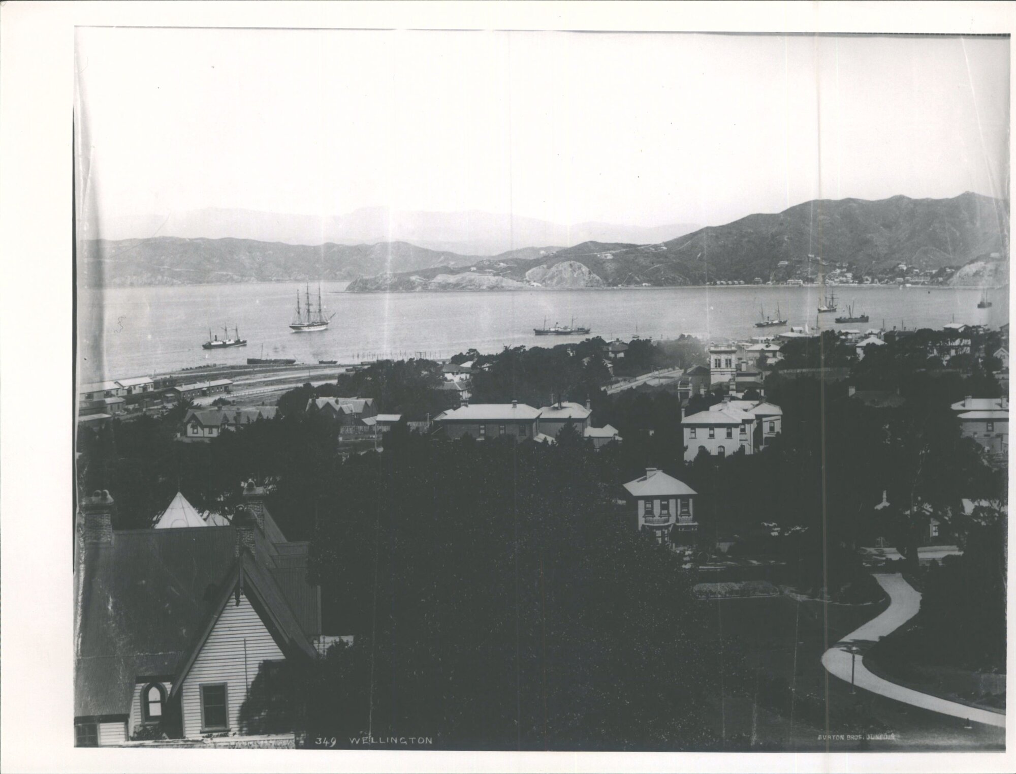 View of Wellington city and harbour from Thorndon