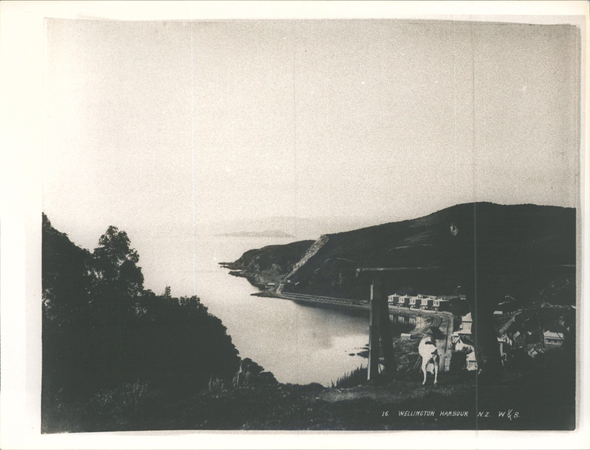 Wellington Harbour, N.Z.