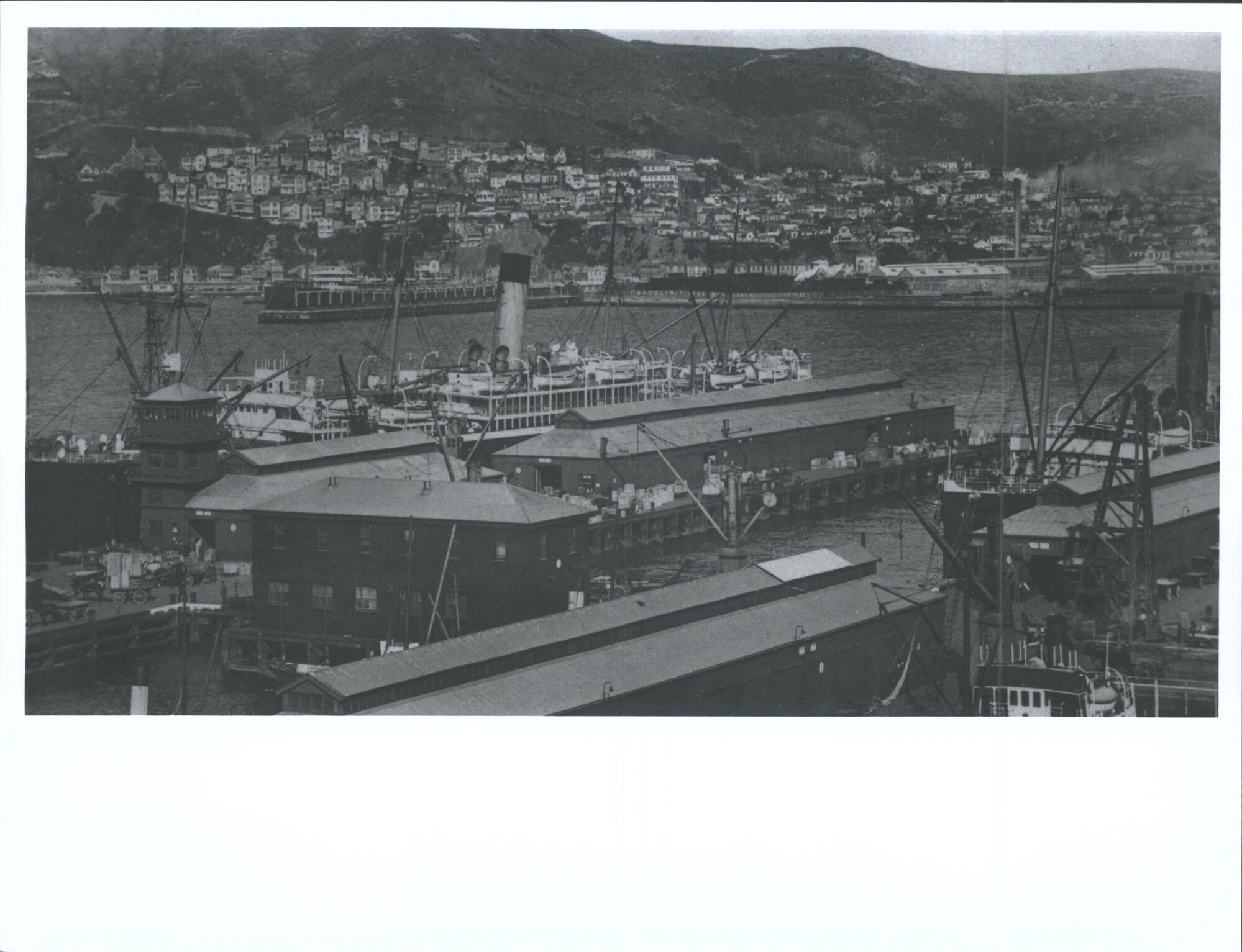 The Queen's Wharf, Wellington, N.Z.