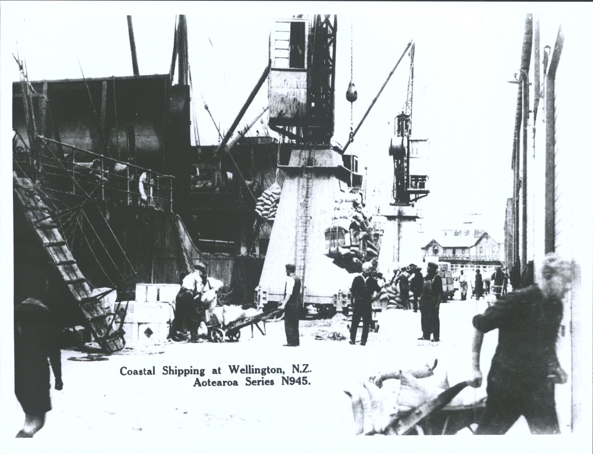 Coastal Shipping at Wellington, N.Z.