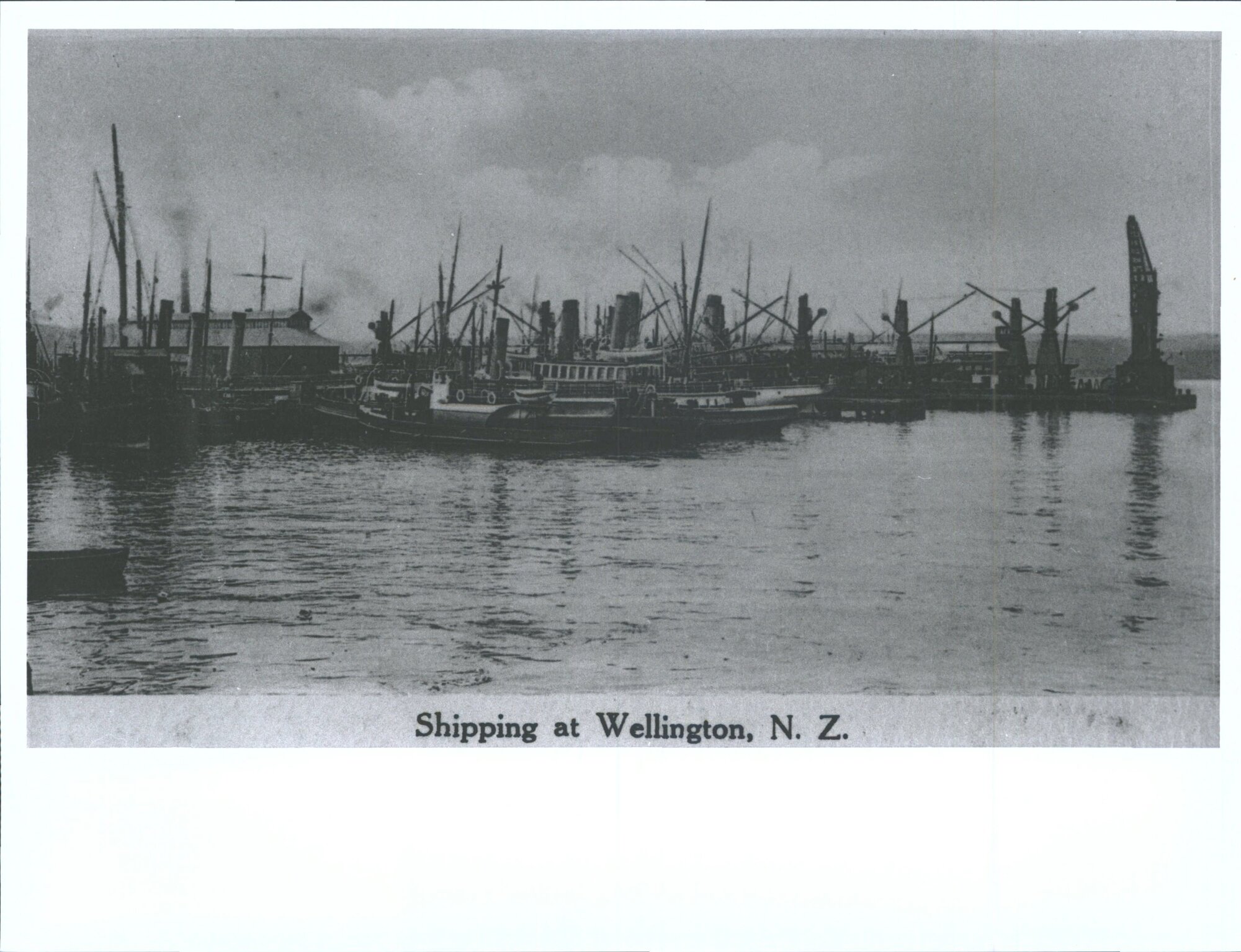 Shipping at Wellington, N.Z.