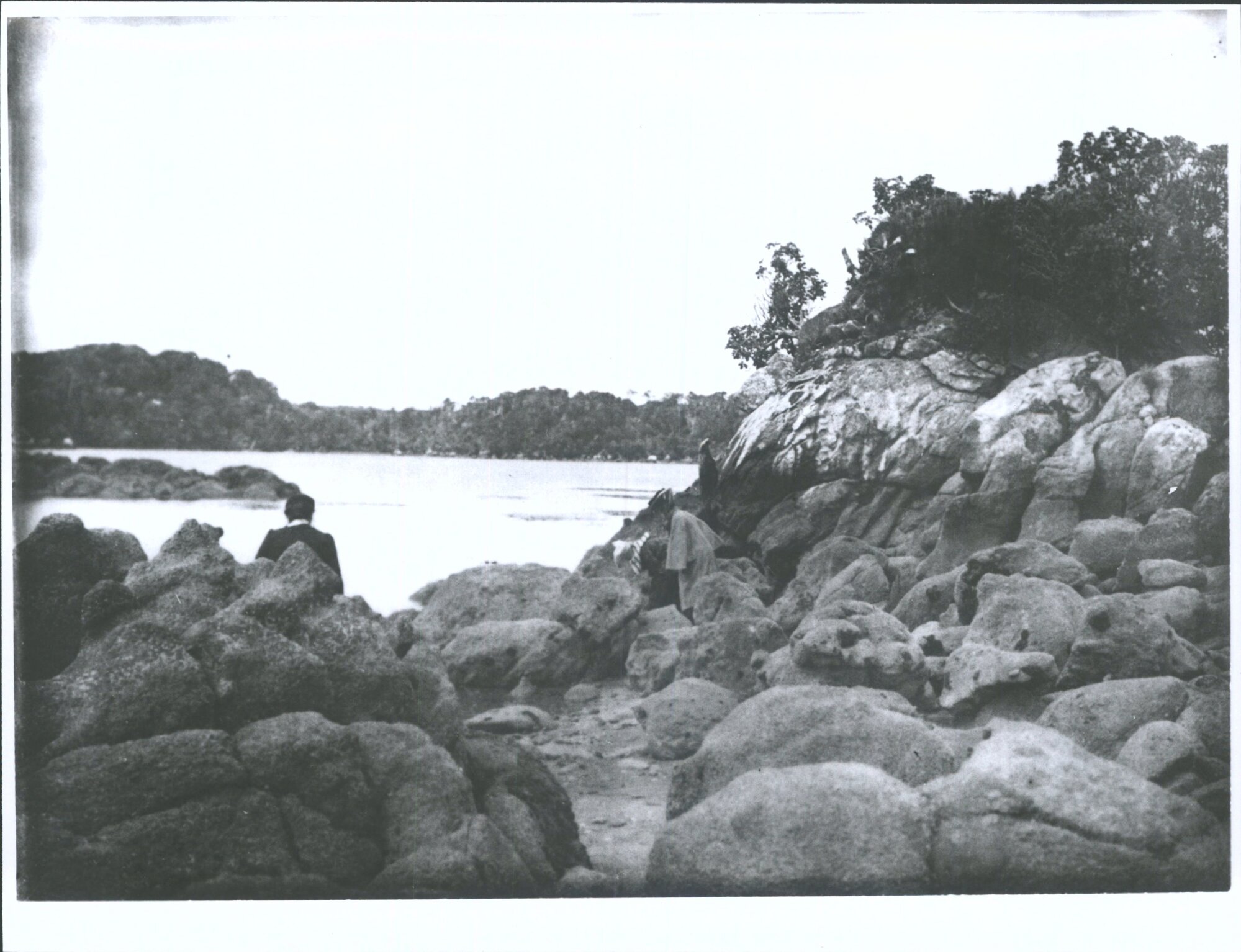A group of people exploring rock pools