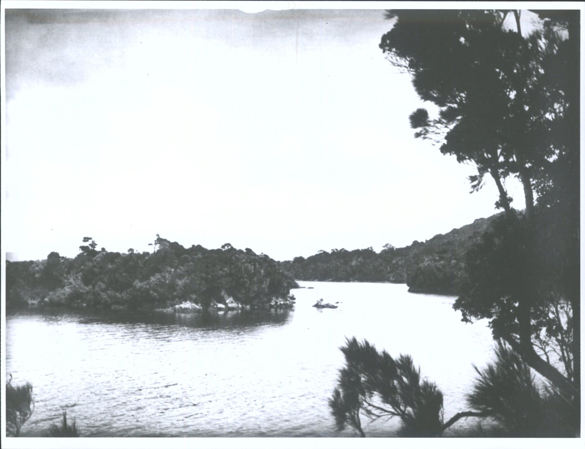 View at Stewart Island