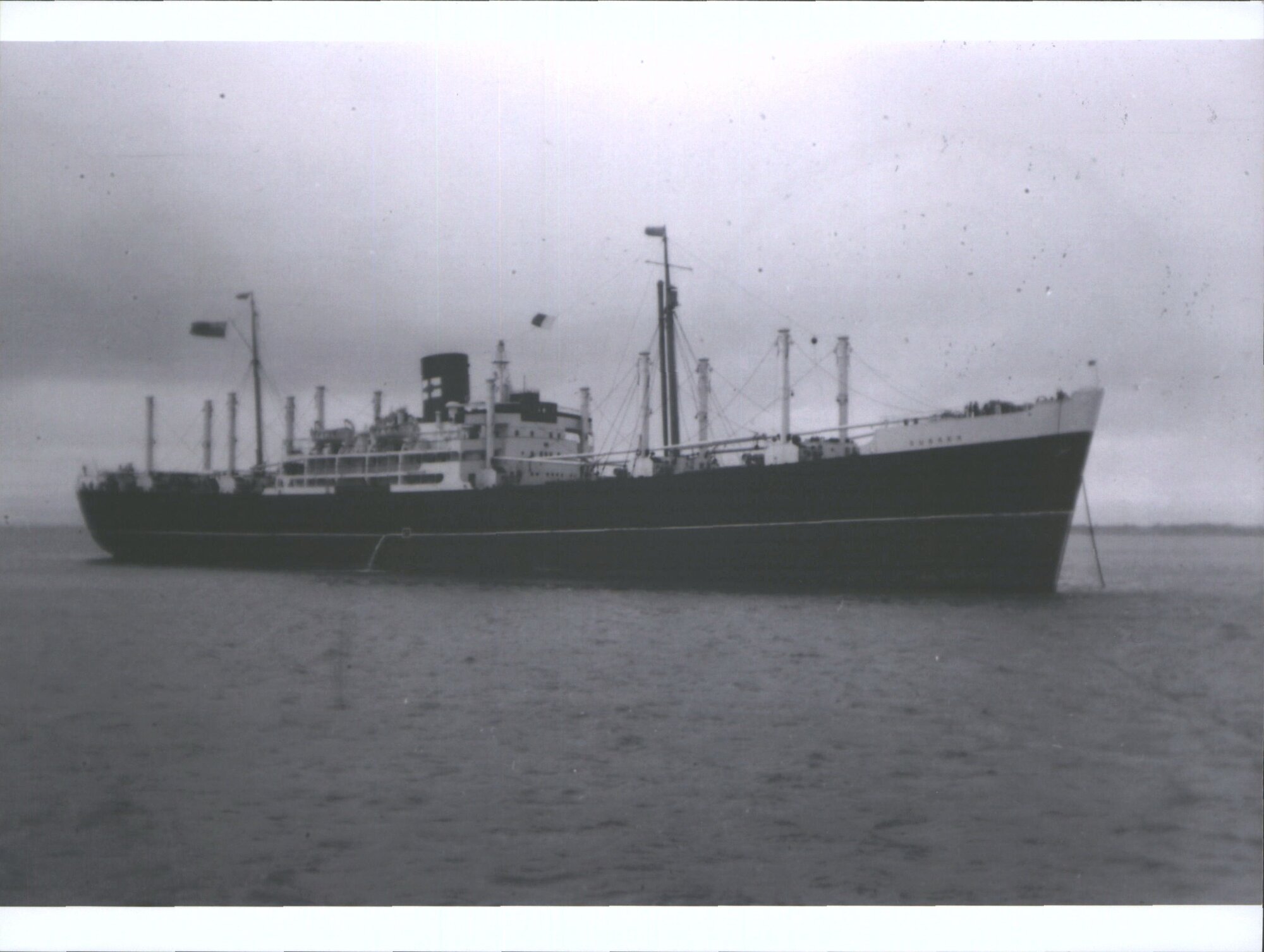 Sussex 1949