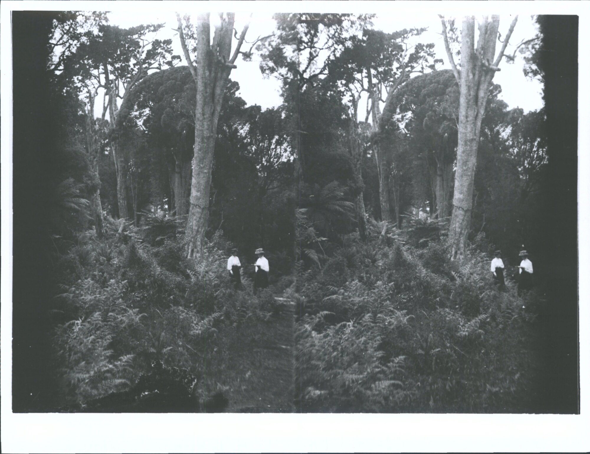 Unidentified Women in Stewart Island Bush