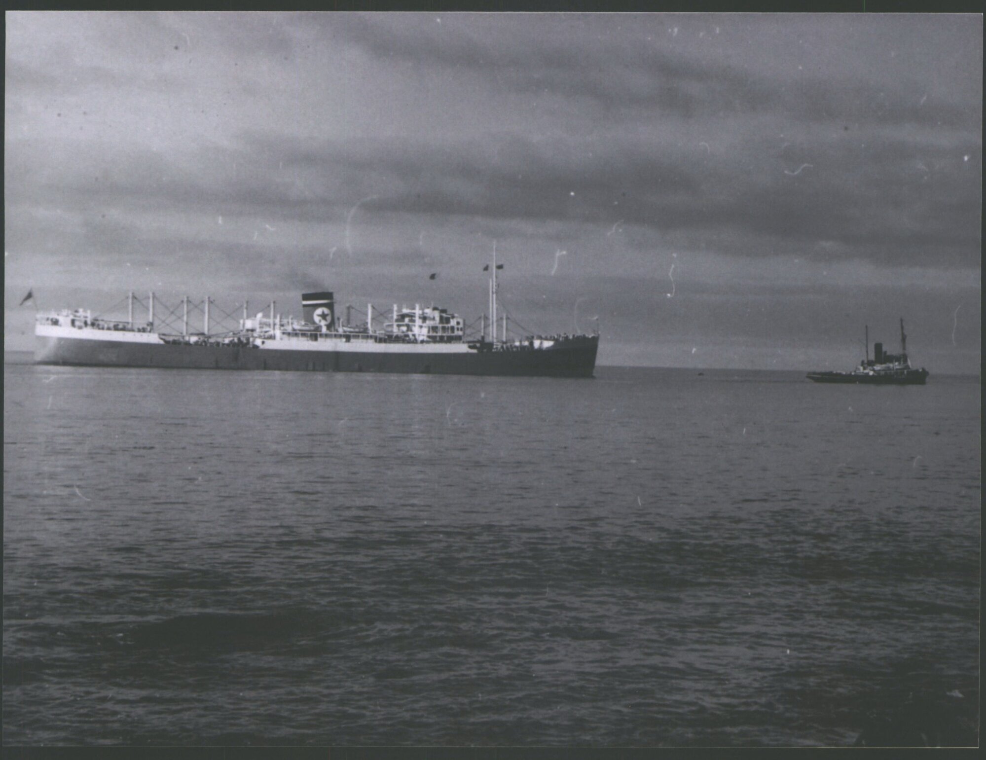 Sydney Star