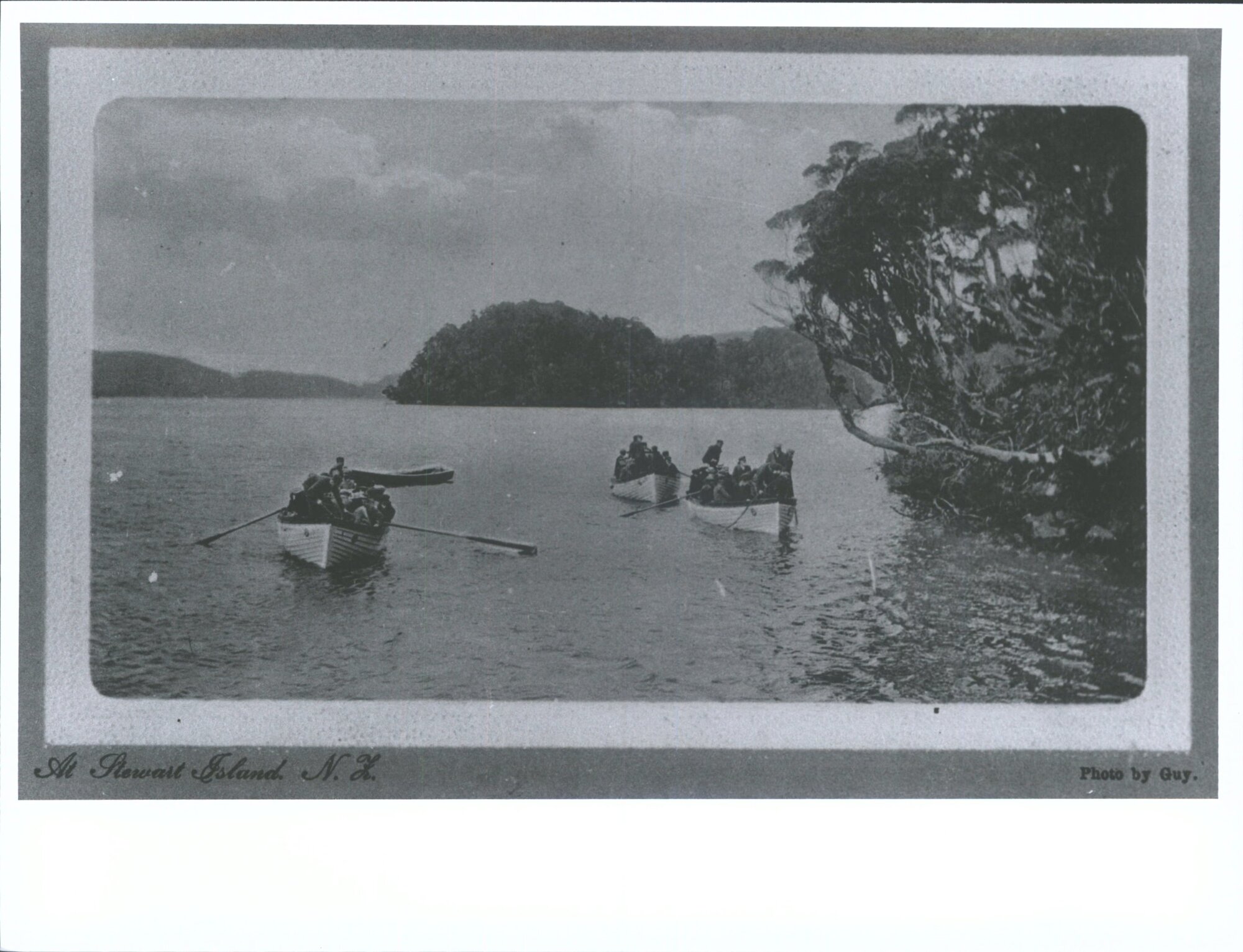 At Stewart Island, N.Z.