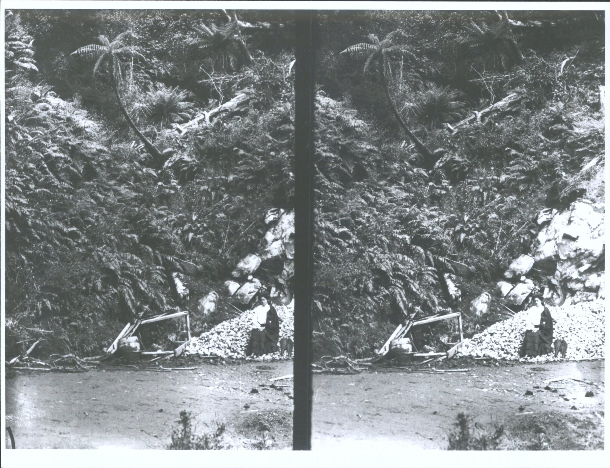 A woman sitting near native bush