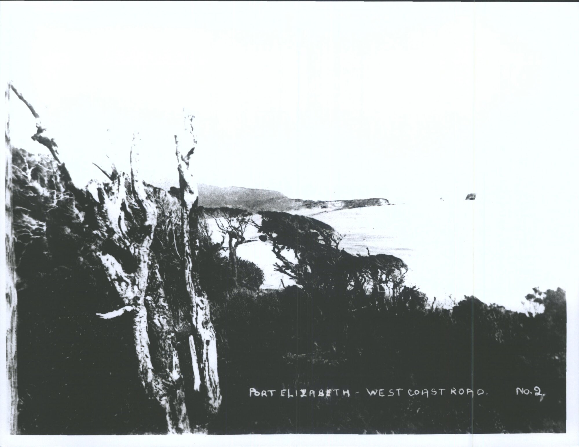 Point Elizabeth, West Coast Road