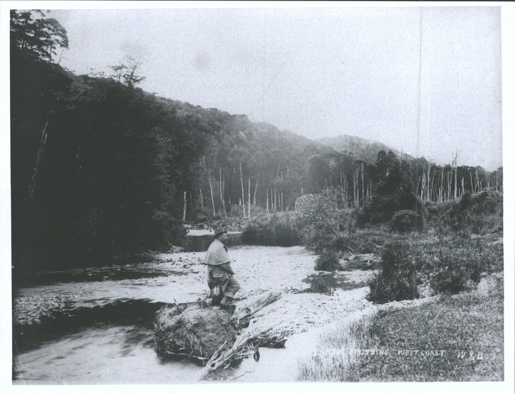 Hope Crossing, Westland