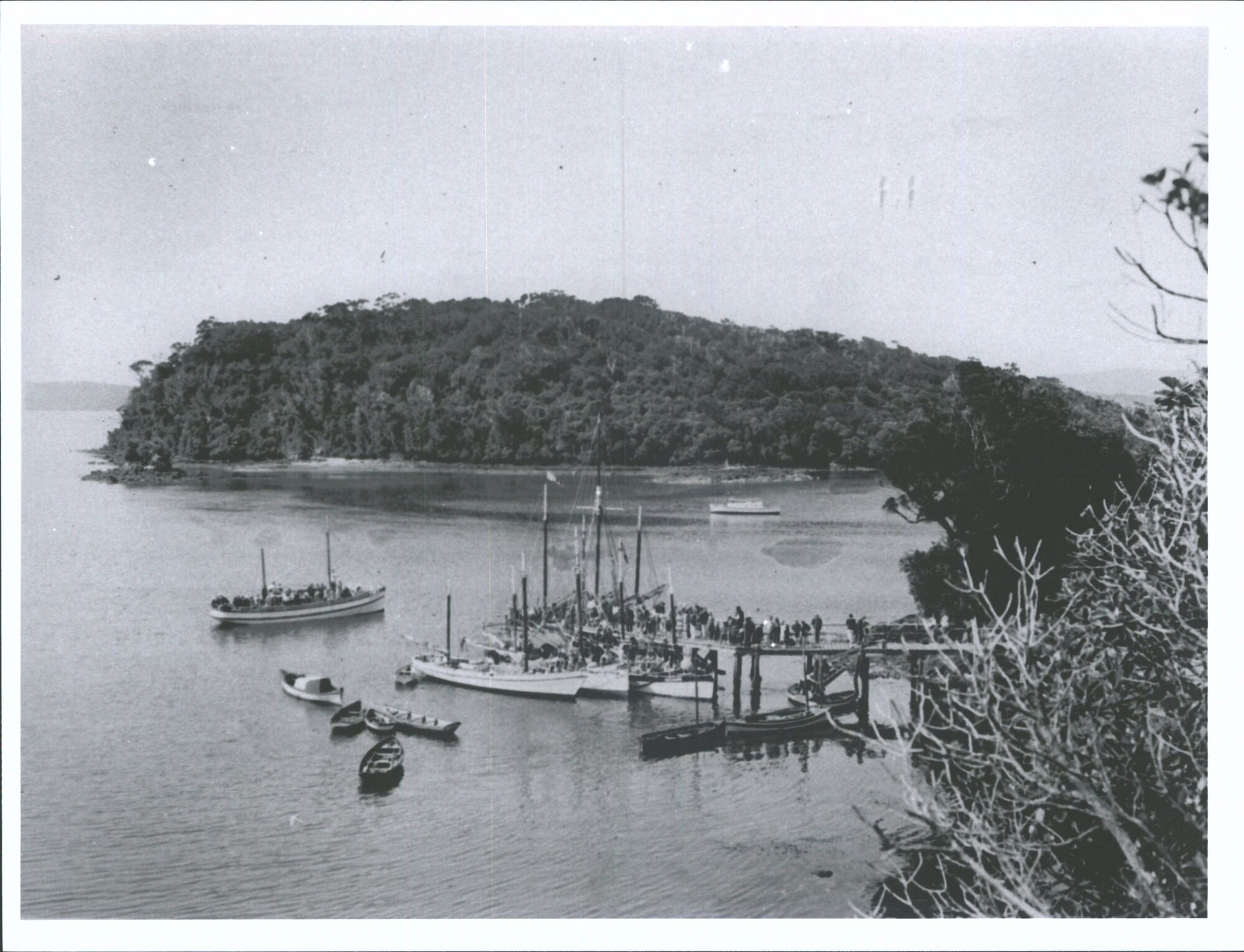 Golden Bay and Iona, Stewart Island, N.Z.