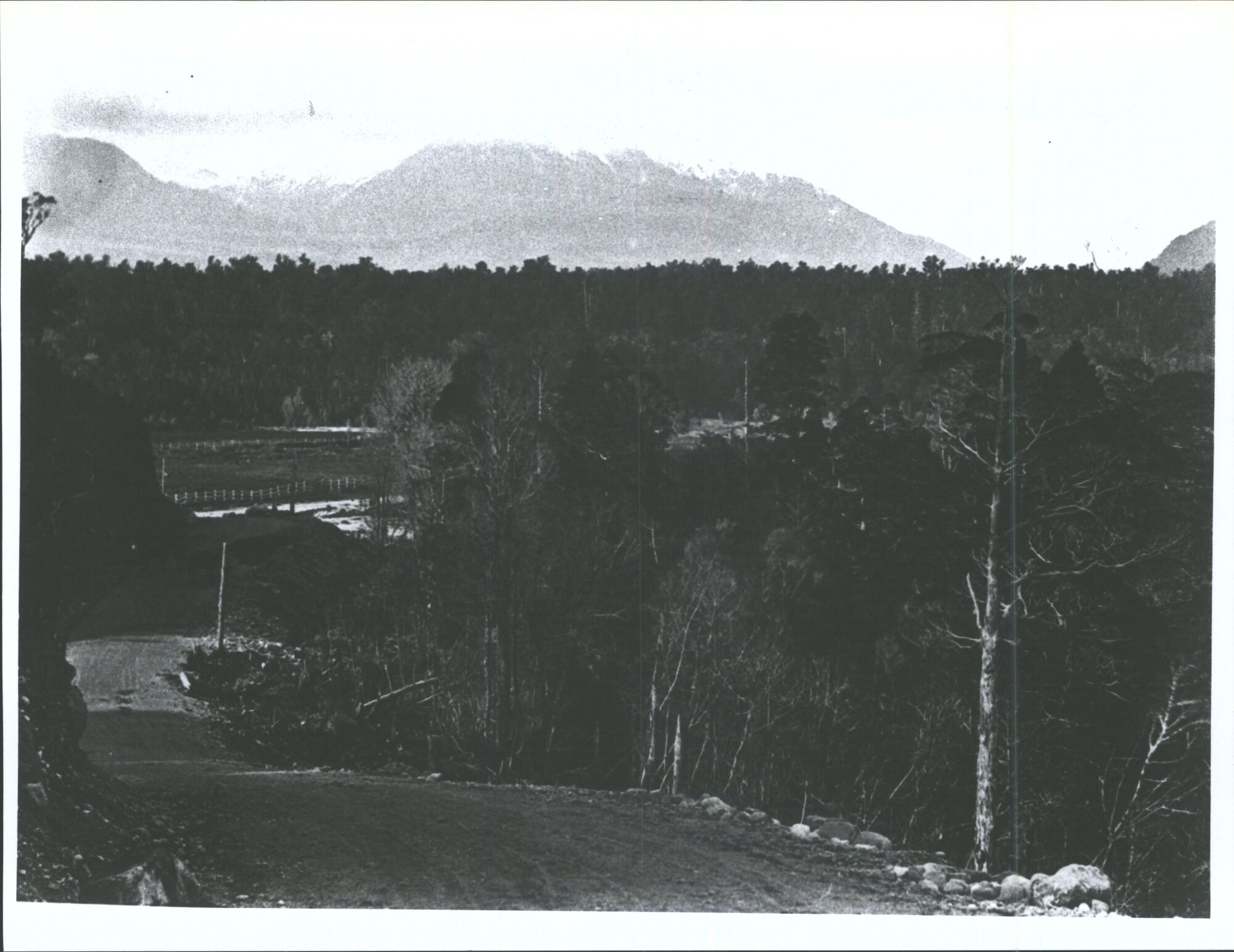 Near the Kawhaka Creek