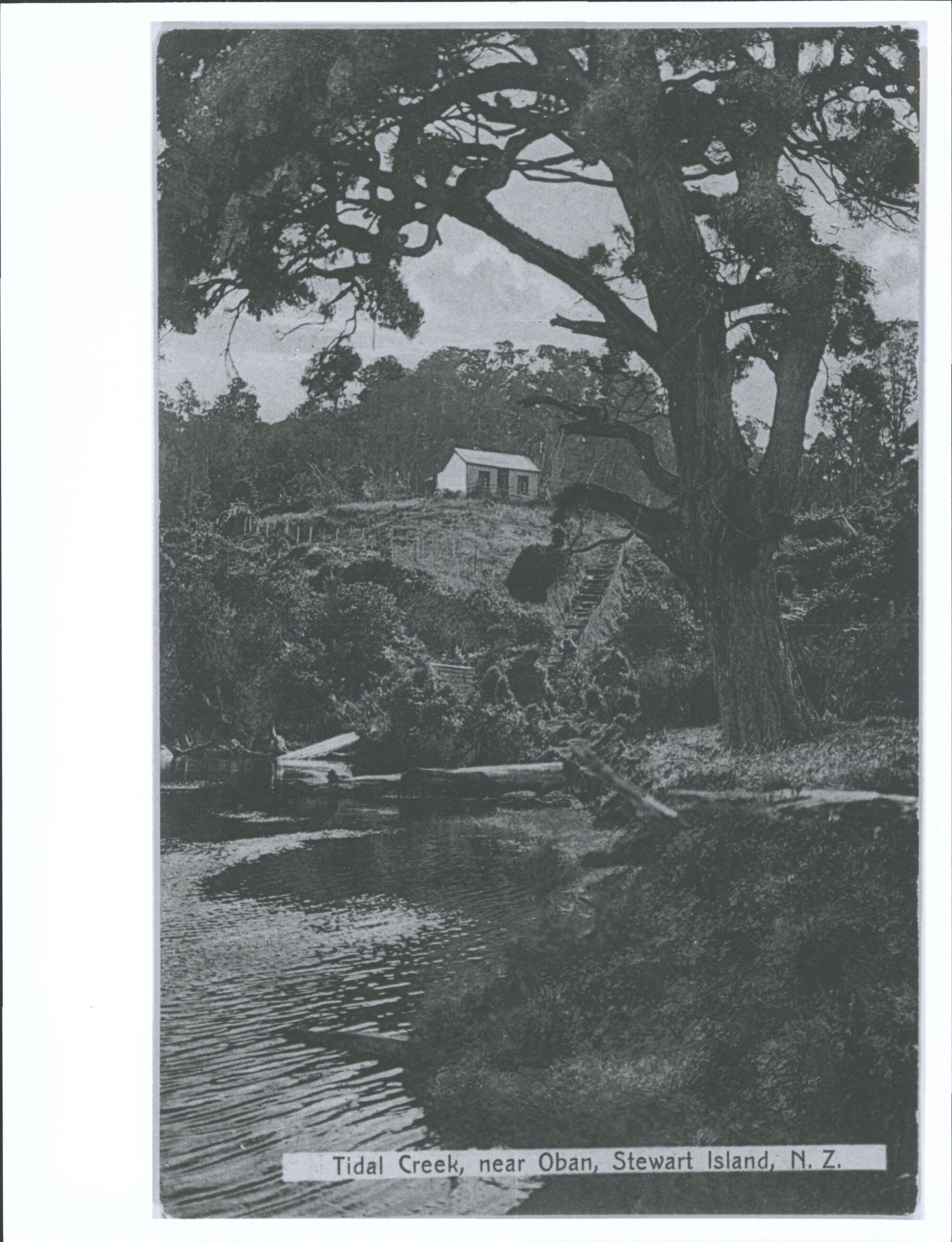 Tidal Creek, near Oban, Stewart Island, N.Z.