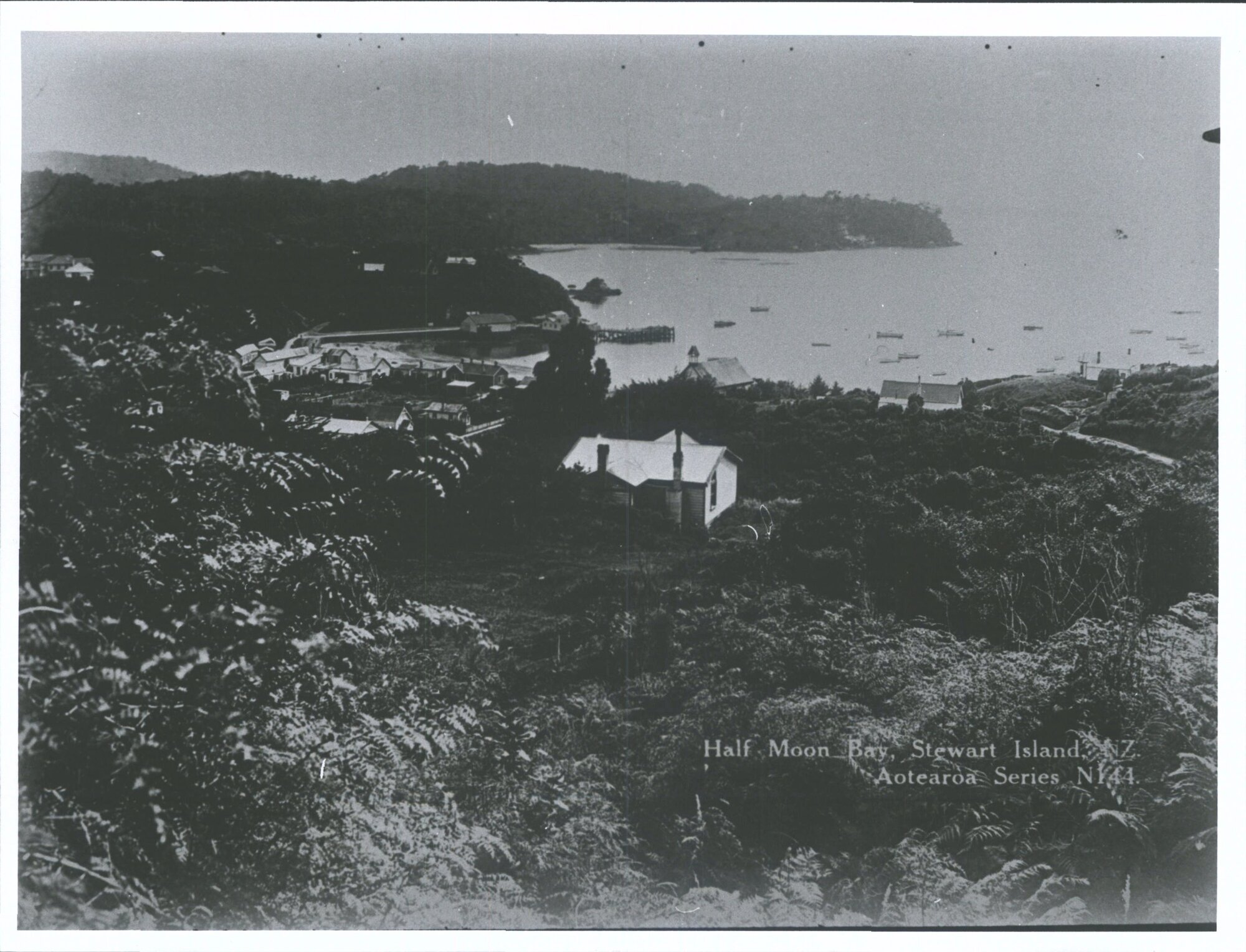 Half Moon Bay, Stewart Island, N.Z.