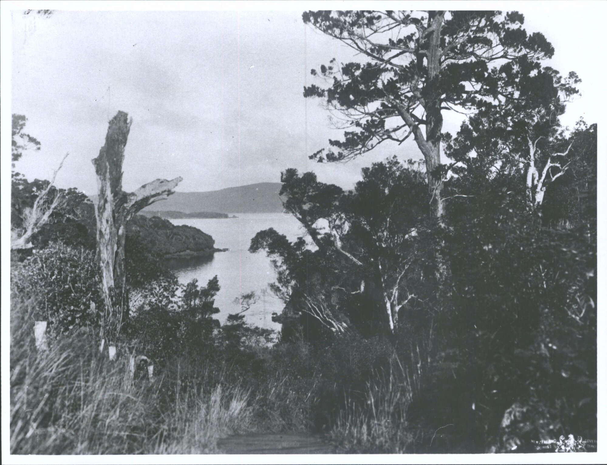 Overlooking Paterson Inlet