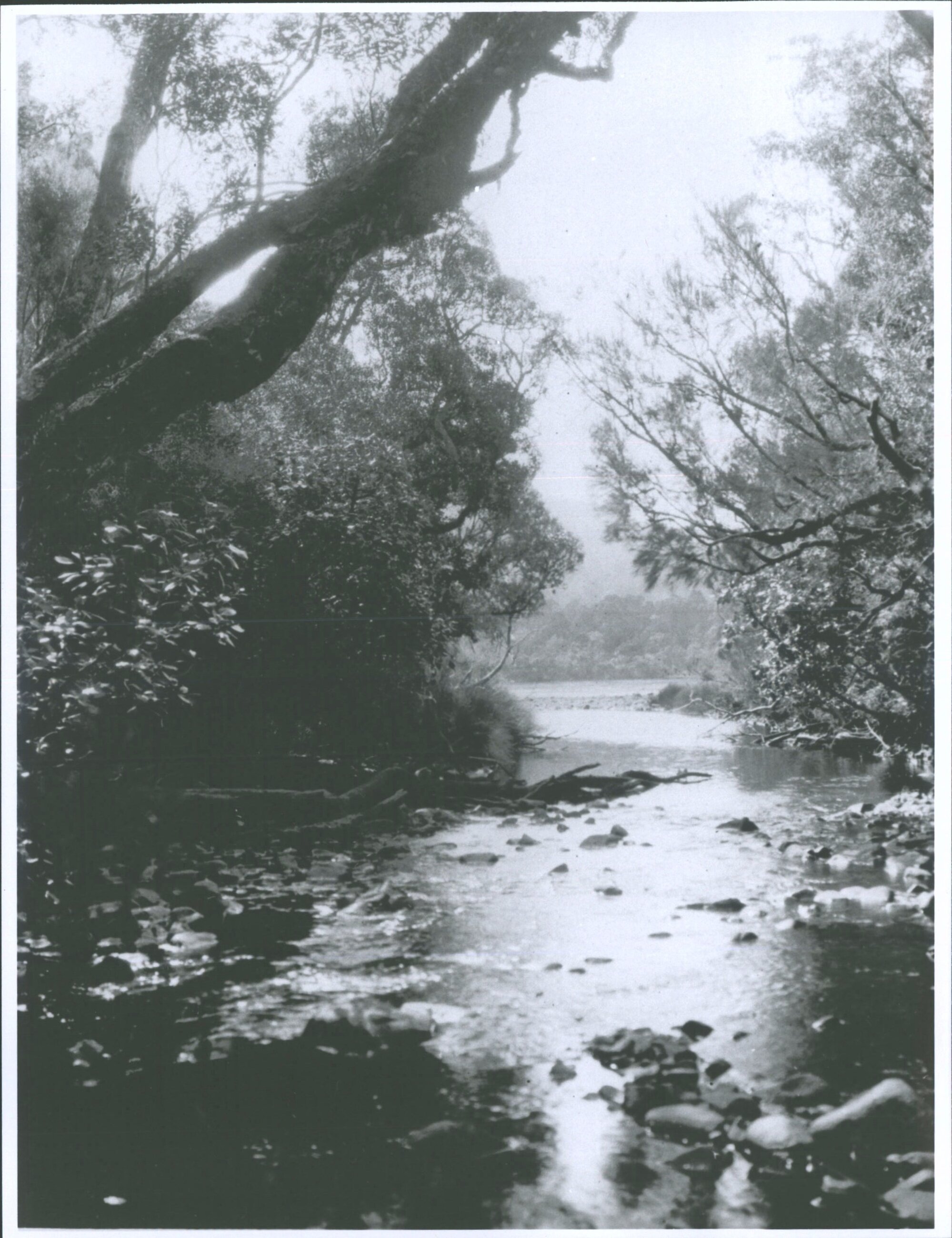 Paterson Inlet, Stewart Island