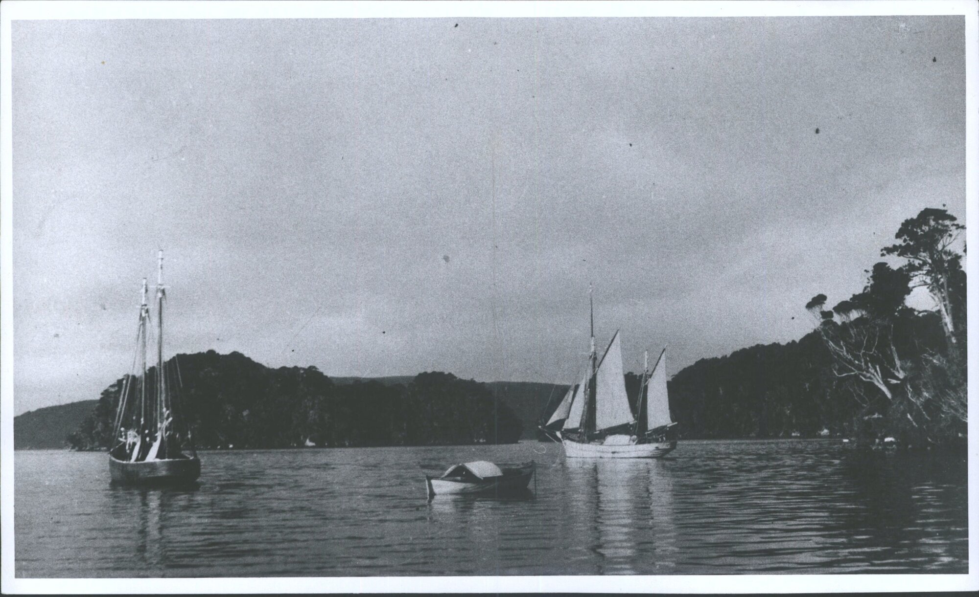 Rakiura and Scout at Port Pegasus