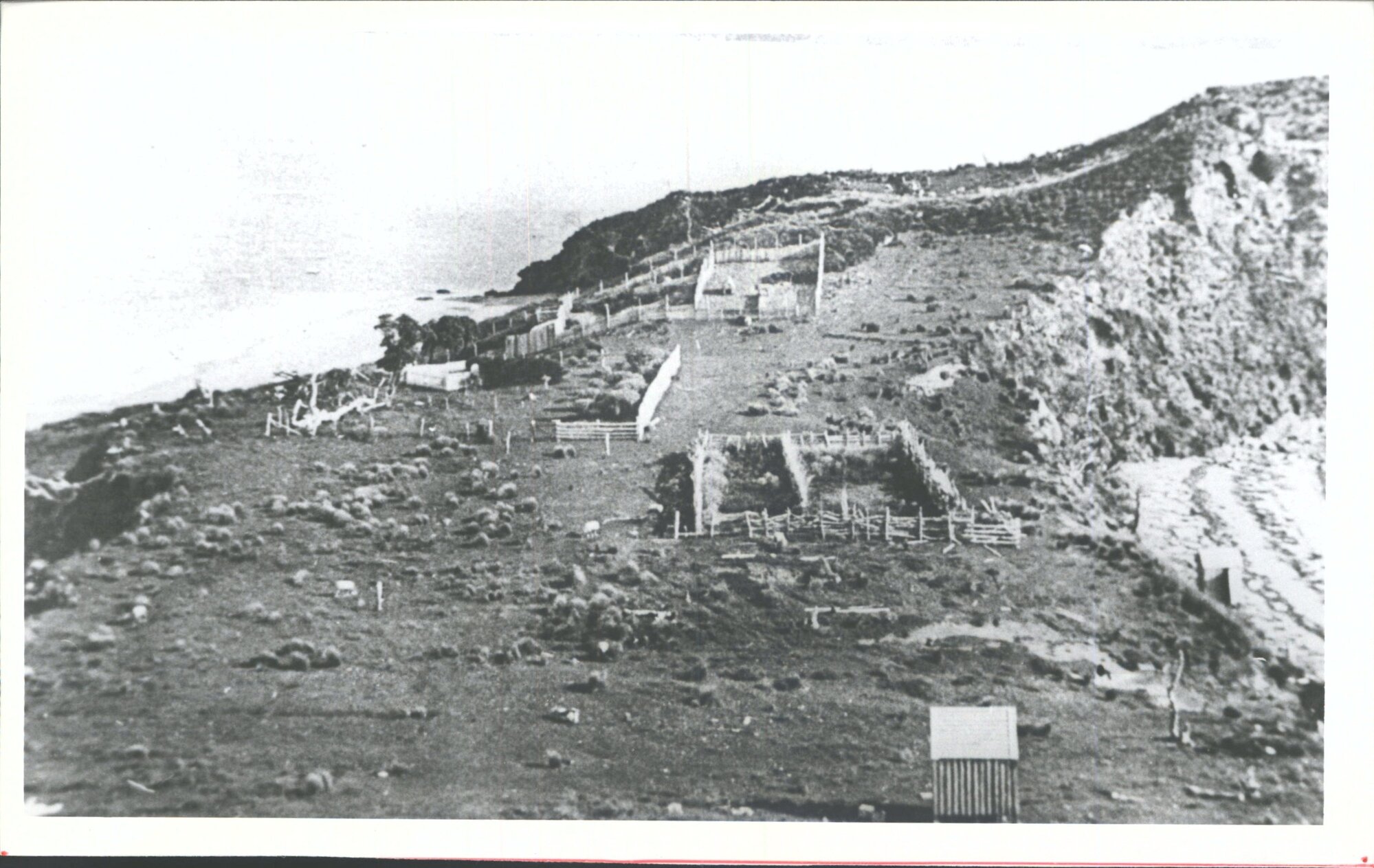 Stock Pens at Ringaringa, Stewart Island