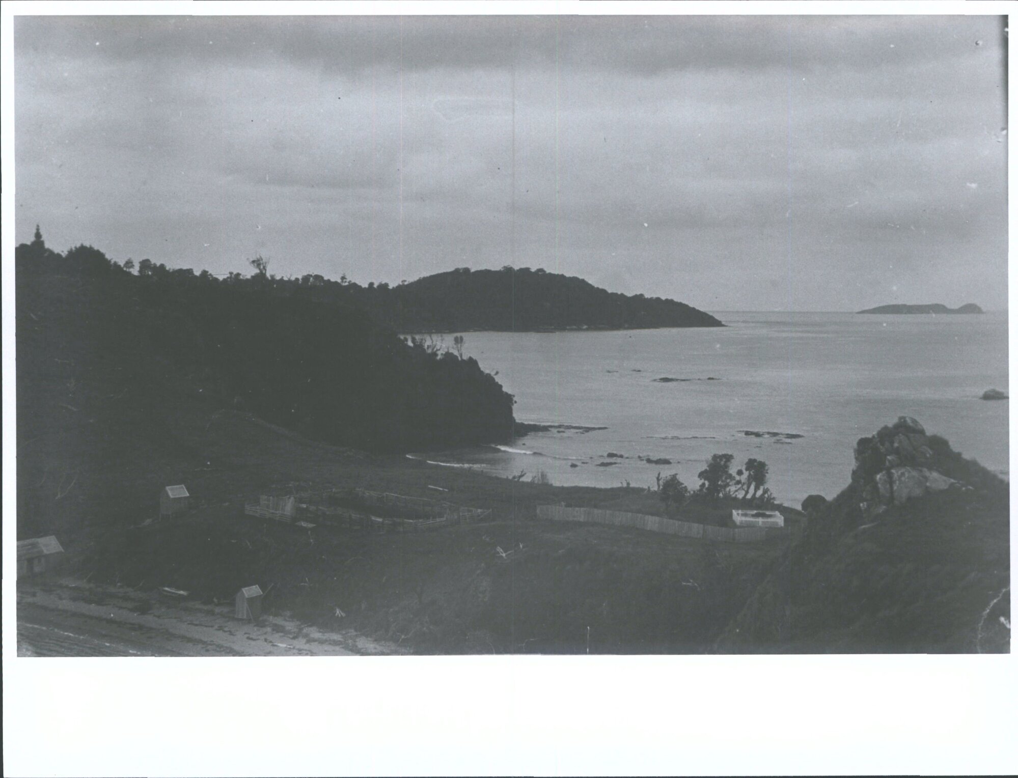 Overlooking Wohlers' Grave, Ringaringa Point, Stewart Island
