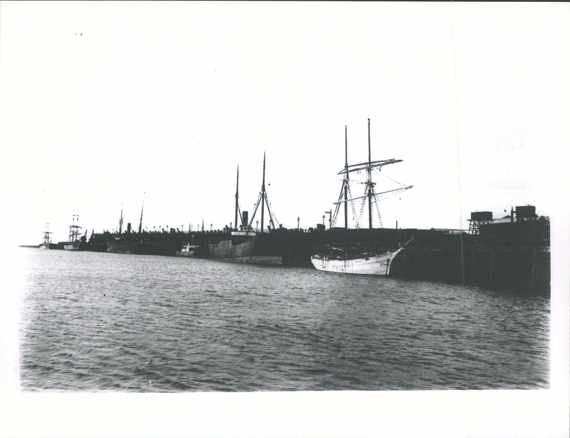 Coal Staiths, Westport Harbour