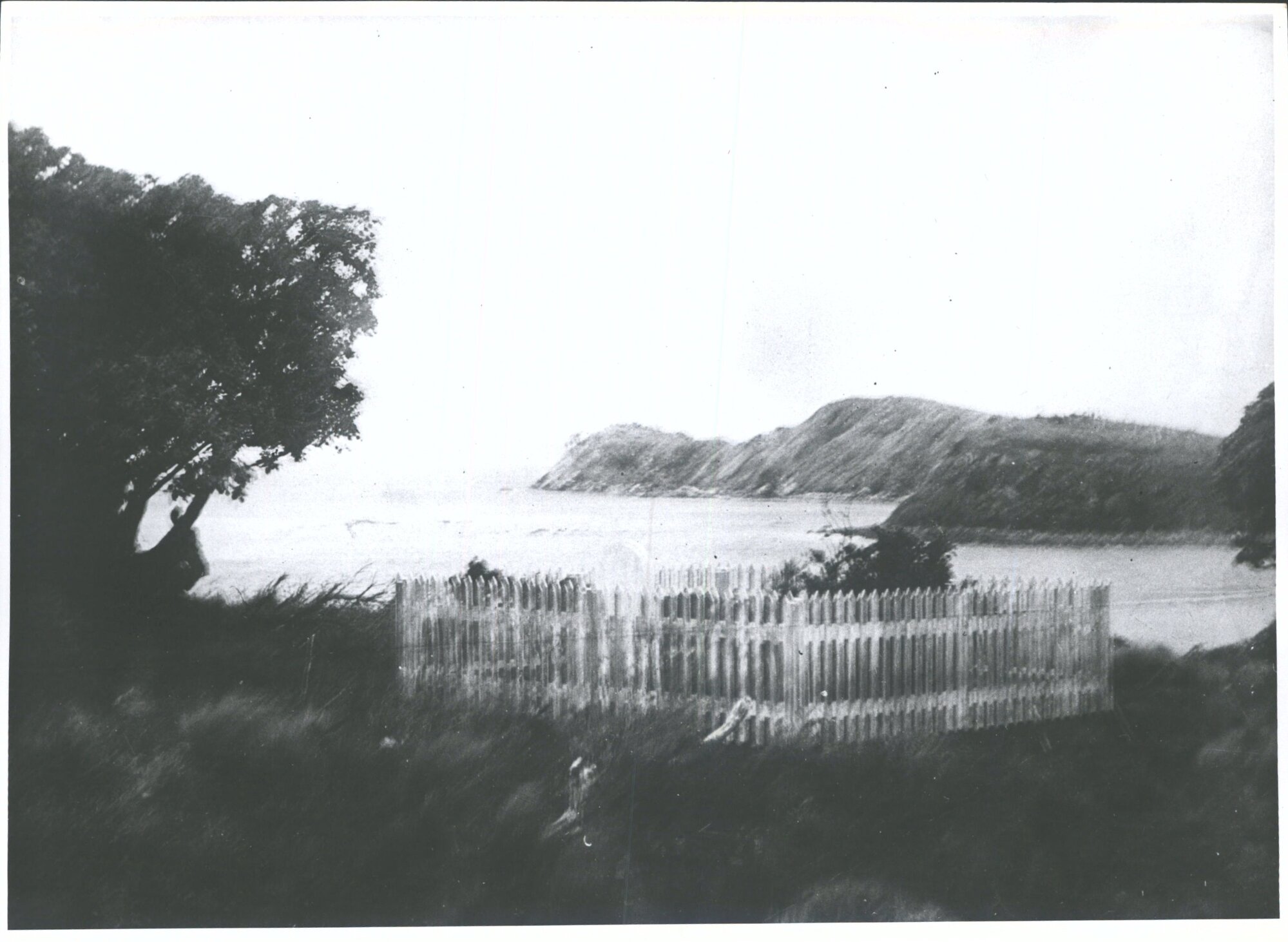 Wohlers' Grave, Ringaringa Point, Stewart Island