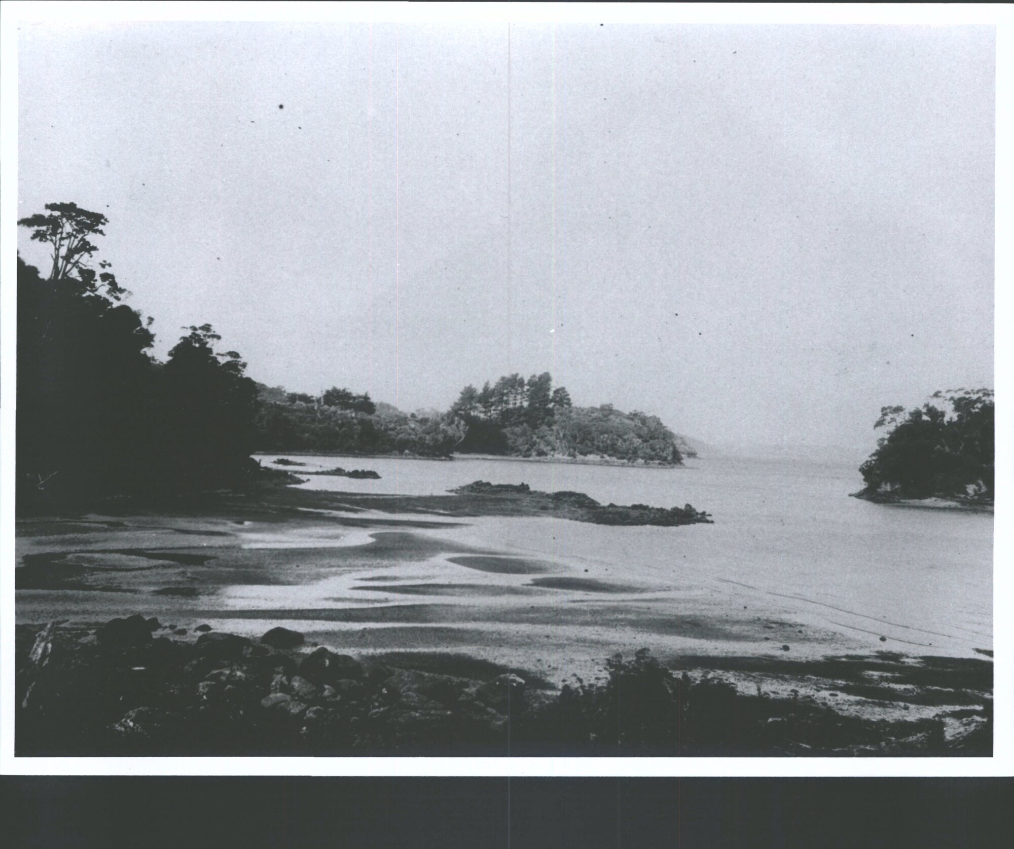Wooded Bluff of Thule across Vaila Voe Bay