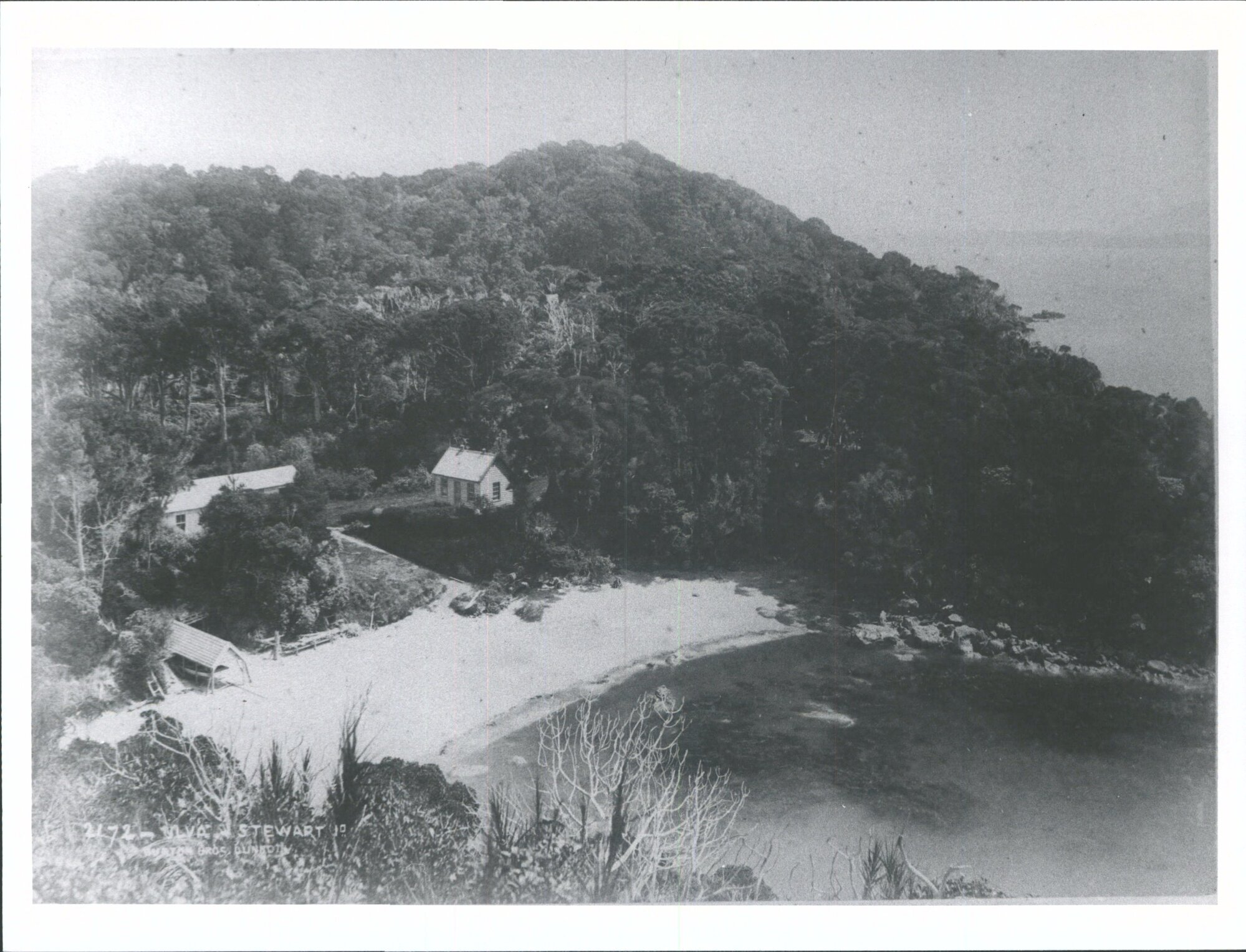 Ulva, Stewart Island