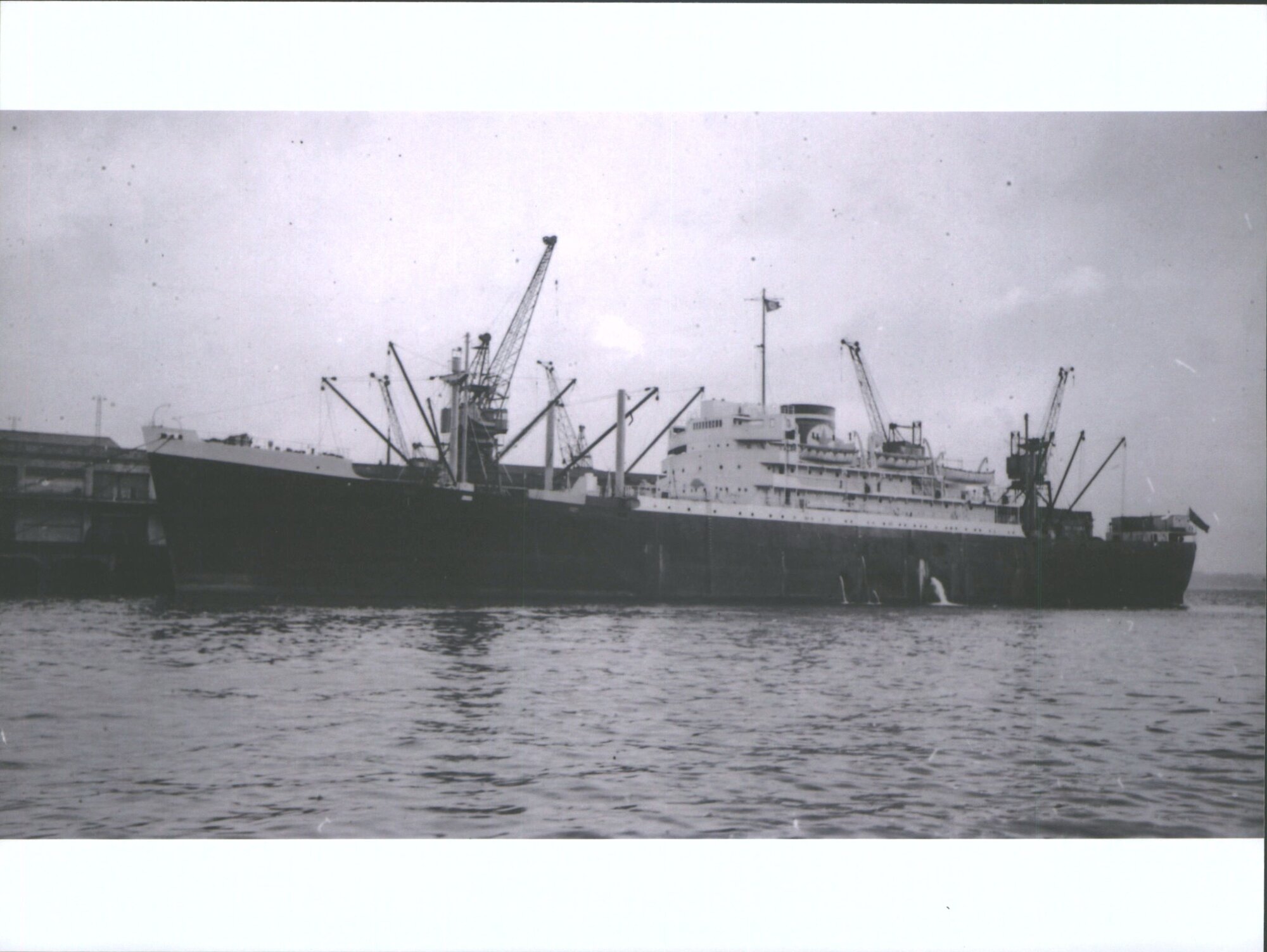 TUSCAN STAR (later TIMARU STAR)