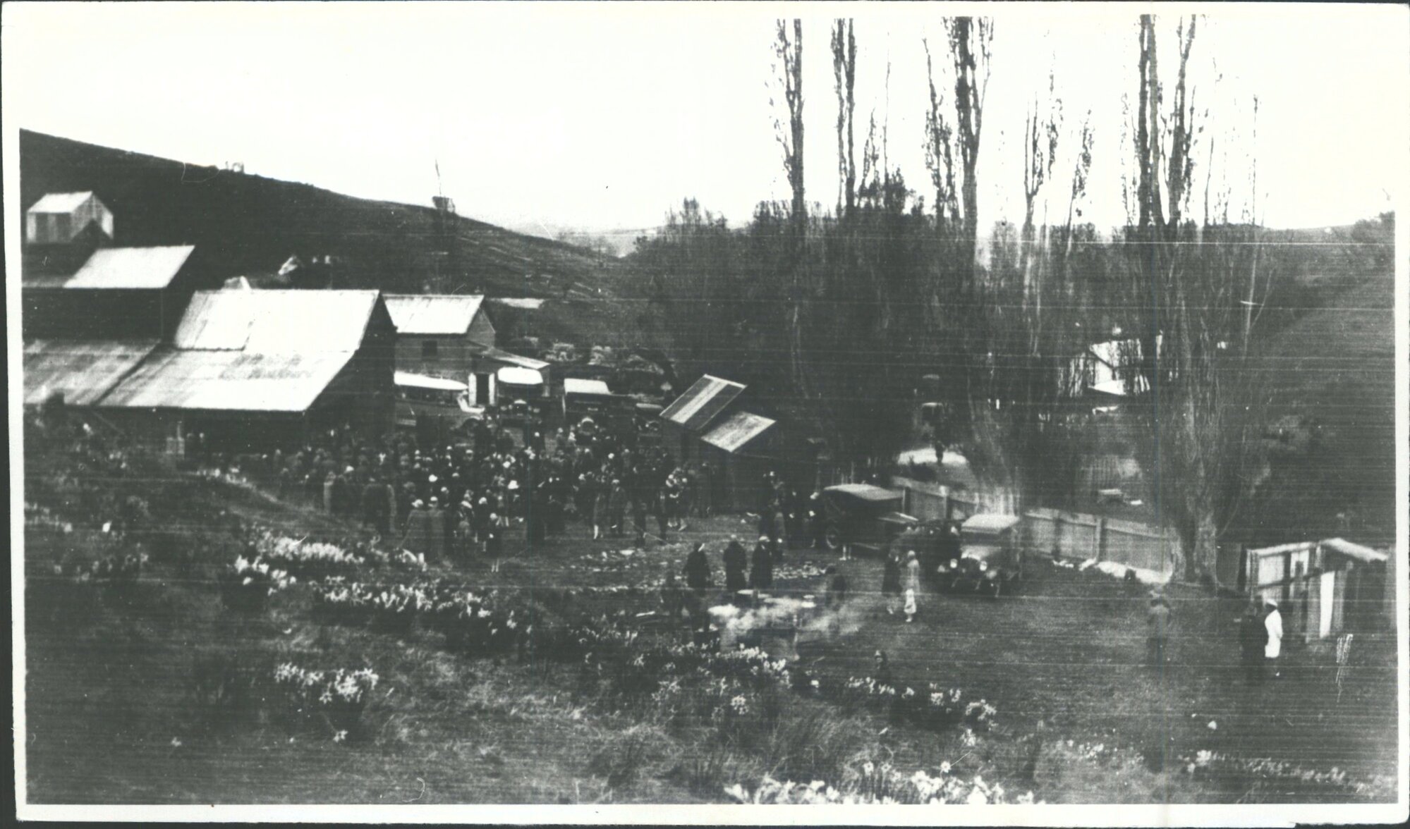 Daffodil Day at Black Horse Brewery