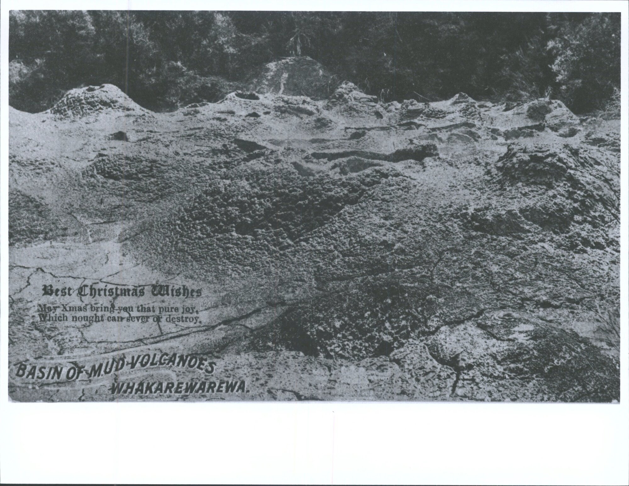"Basin of Mud Volcanoes, Whakarewarewa"