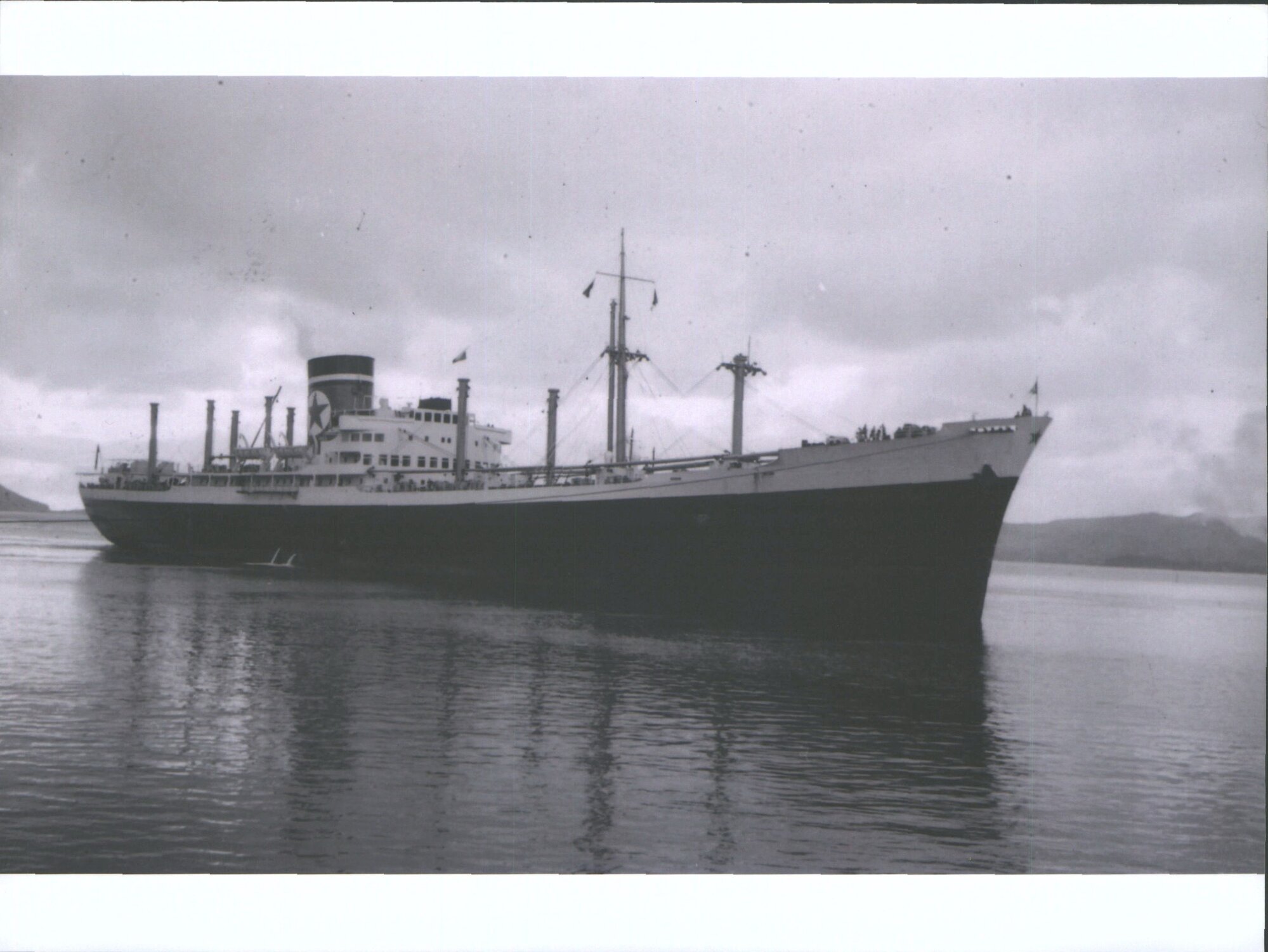 TASMANIA STAR