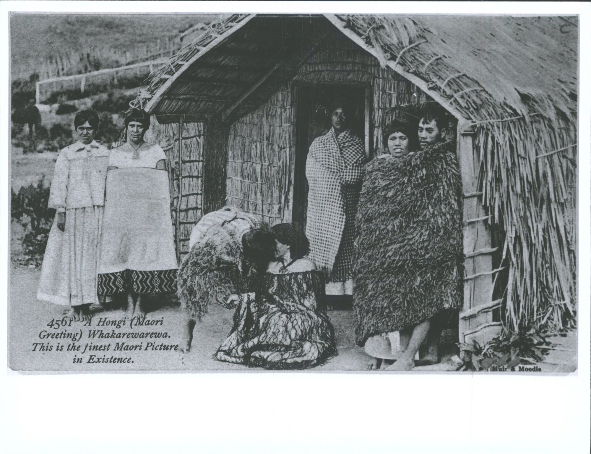 A Hongi (Maori Greeting), Whakarewarewa