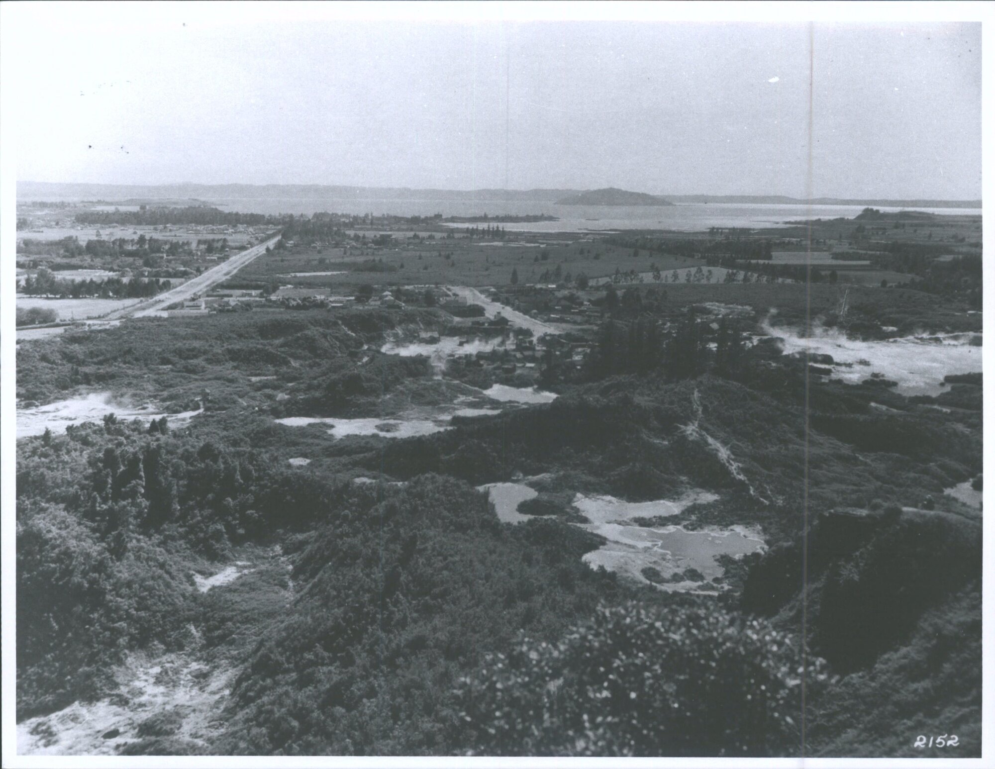 The Thermal Region of Whakarewarewa