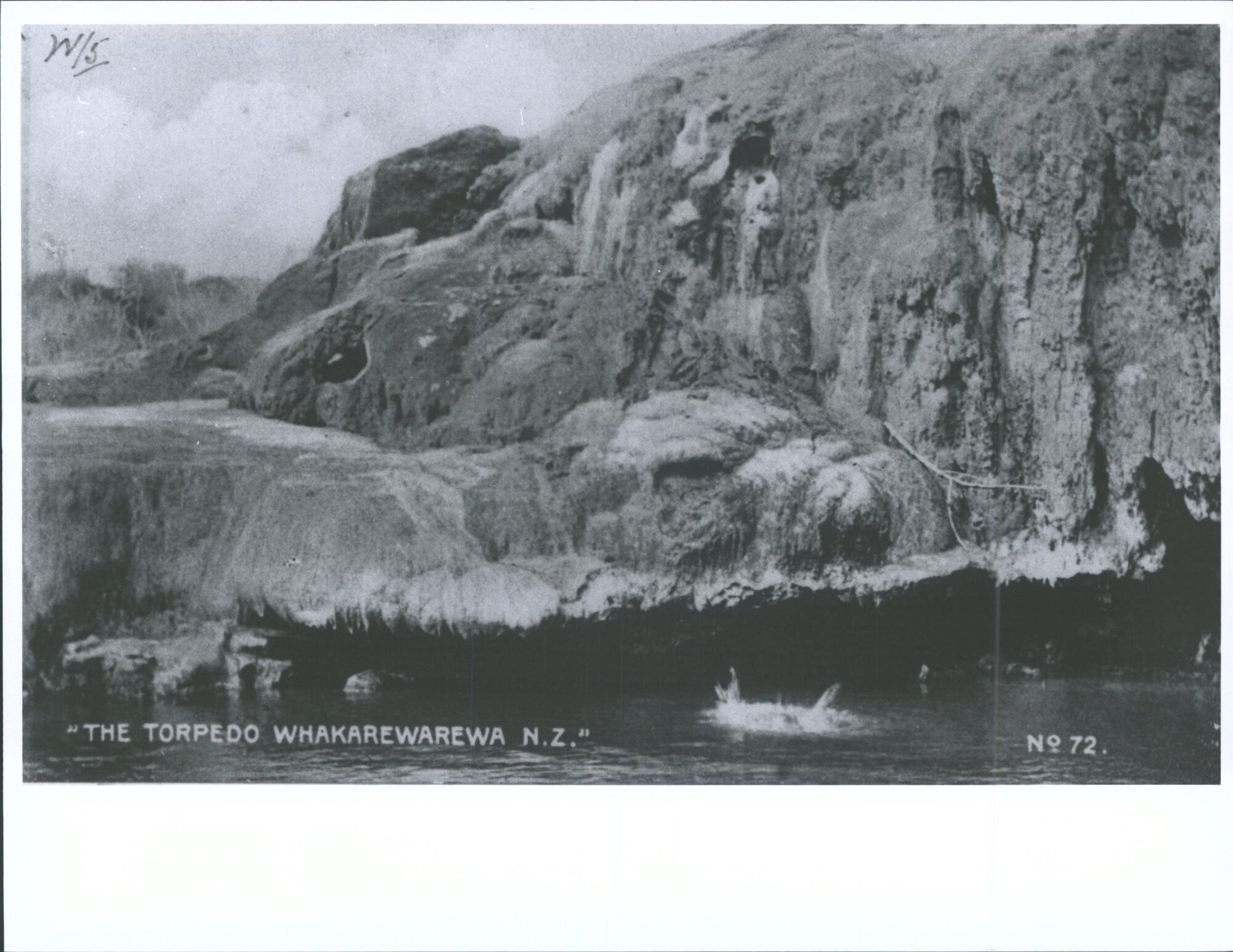 The Torpedo, Whakarewarewa, N.Z.