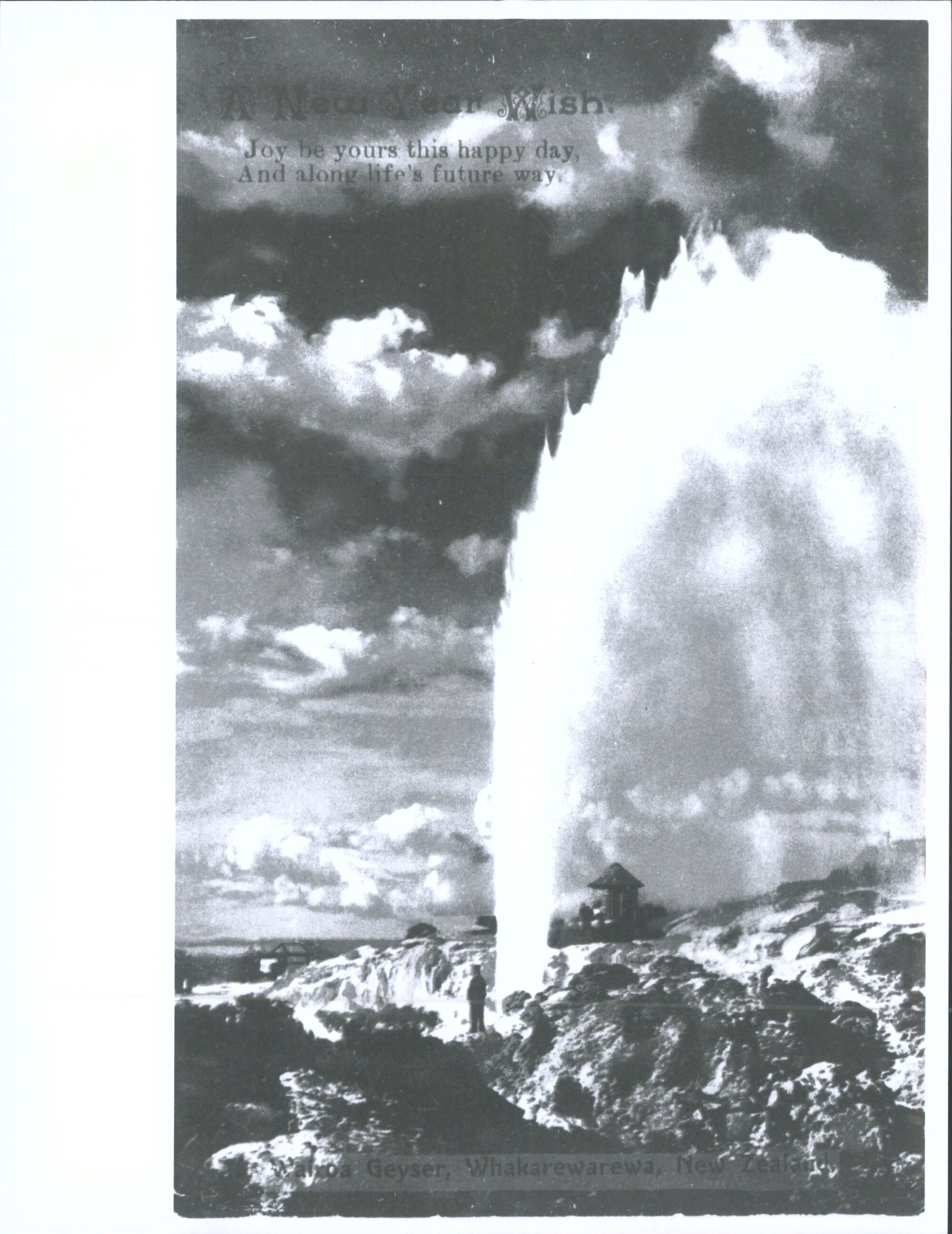 Wairoa Geyser, Whakarewarewa, N.Z.