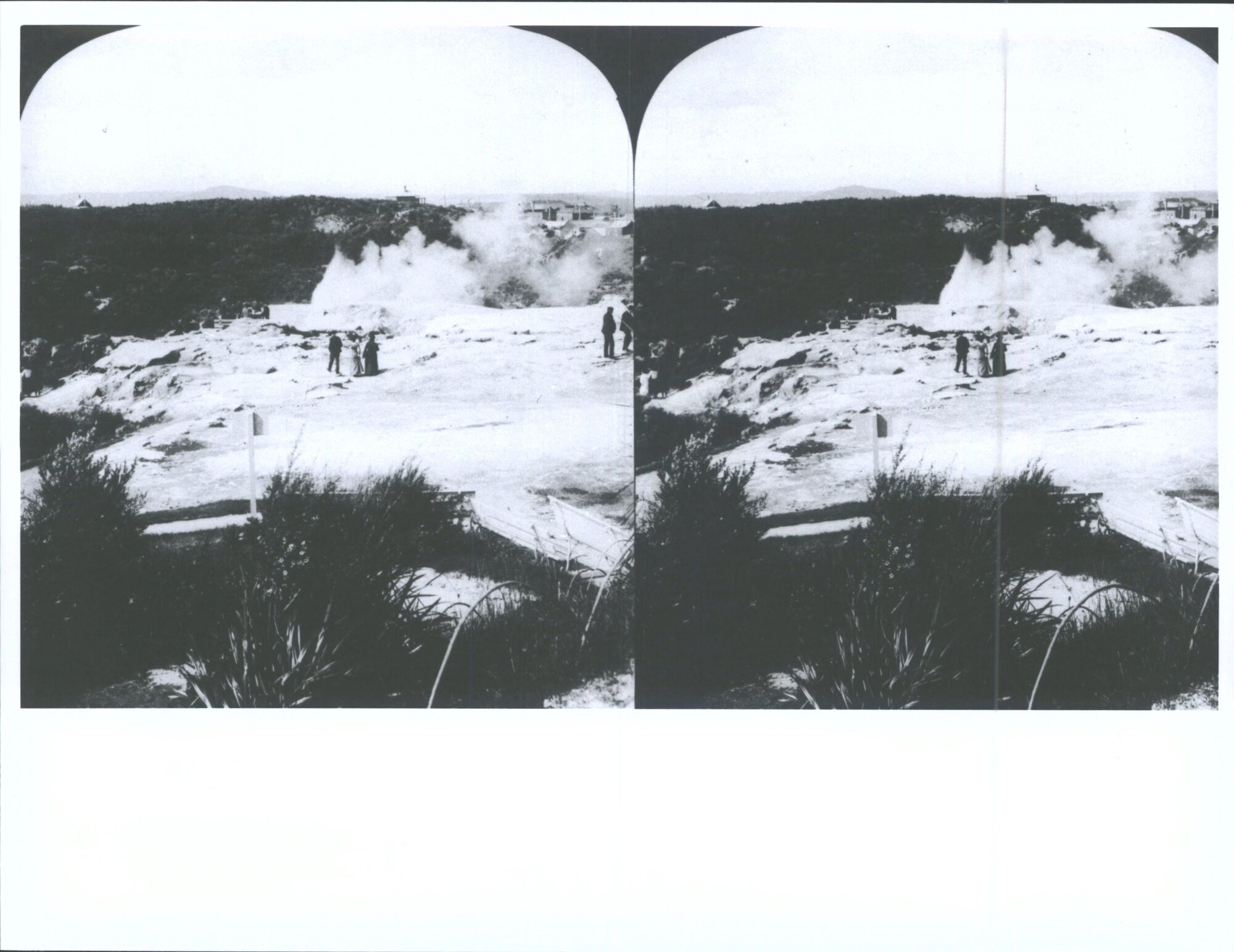 Prince of Wales Feathers Geyser