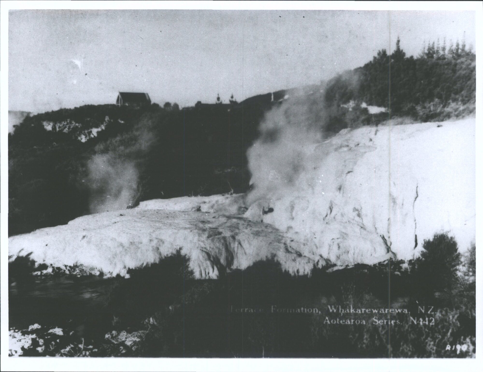 Terrace Formation, Whakarewarewa, N.Z.