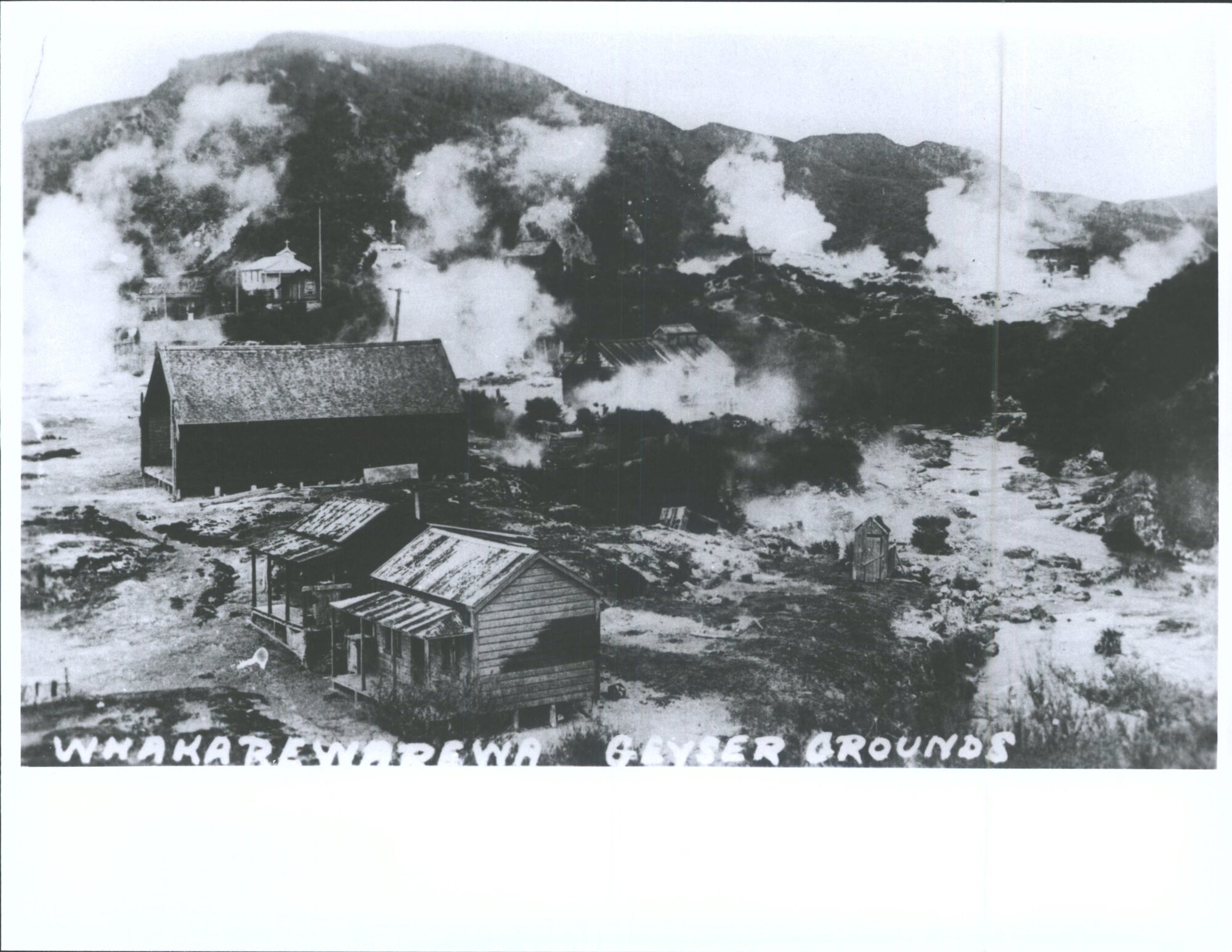 Whakarewarewa Geyser Grounds