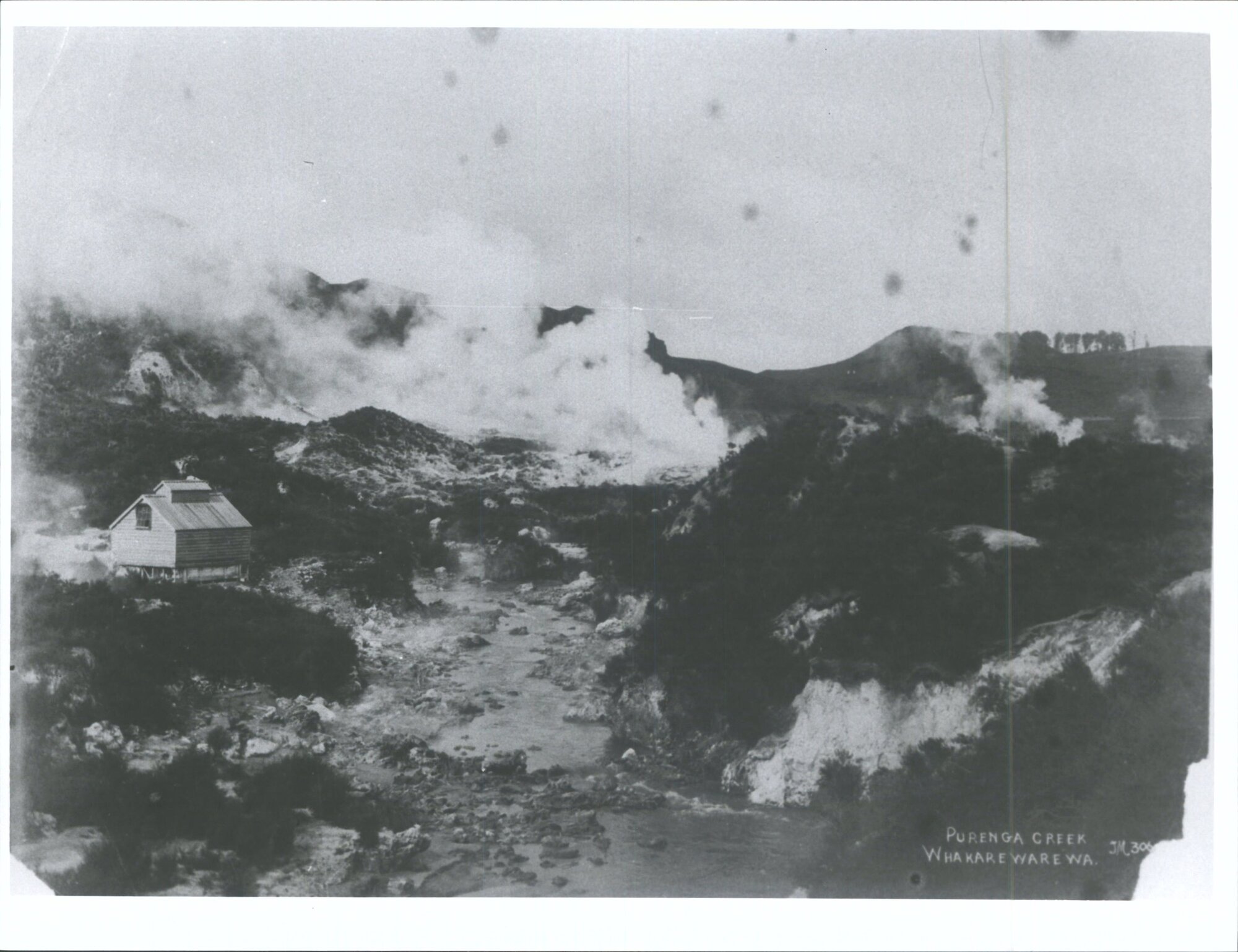 Purenga Creek, Whakarewarewa