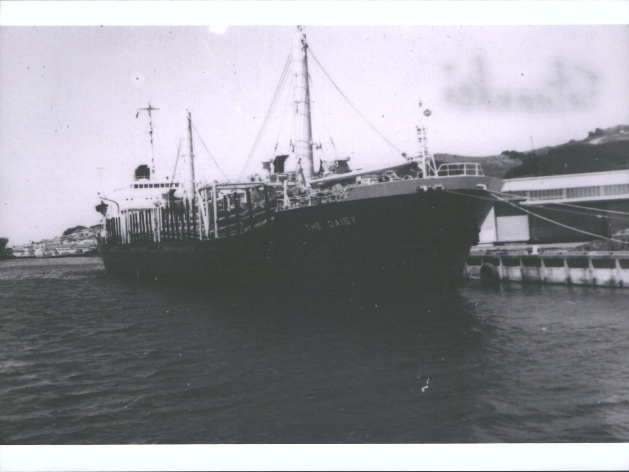 THE DAISY