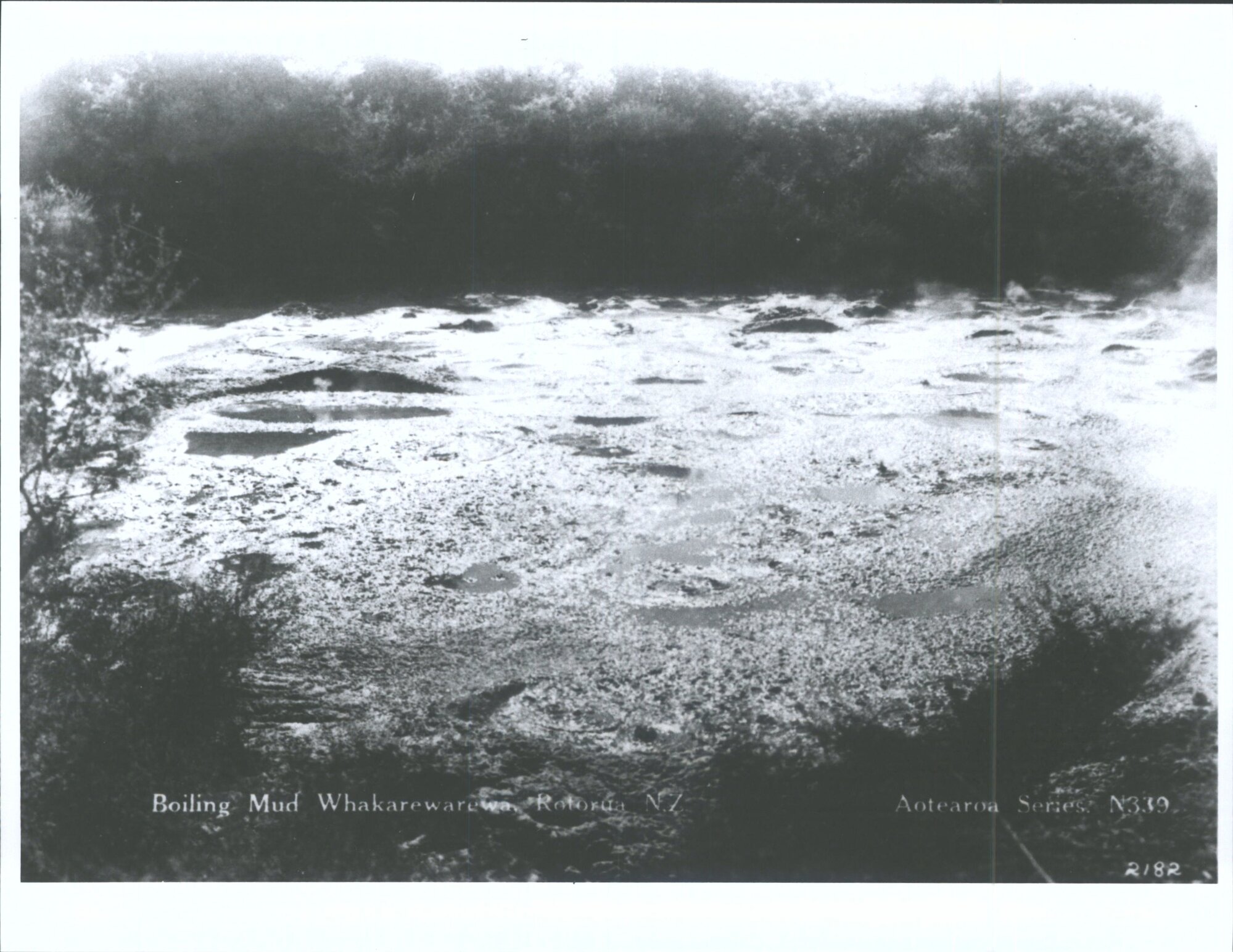 Boiling Mud, Whakarewarewa, Rotorua, N.Z.