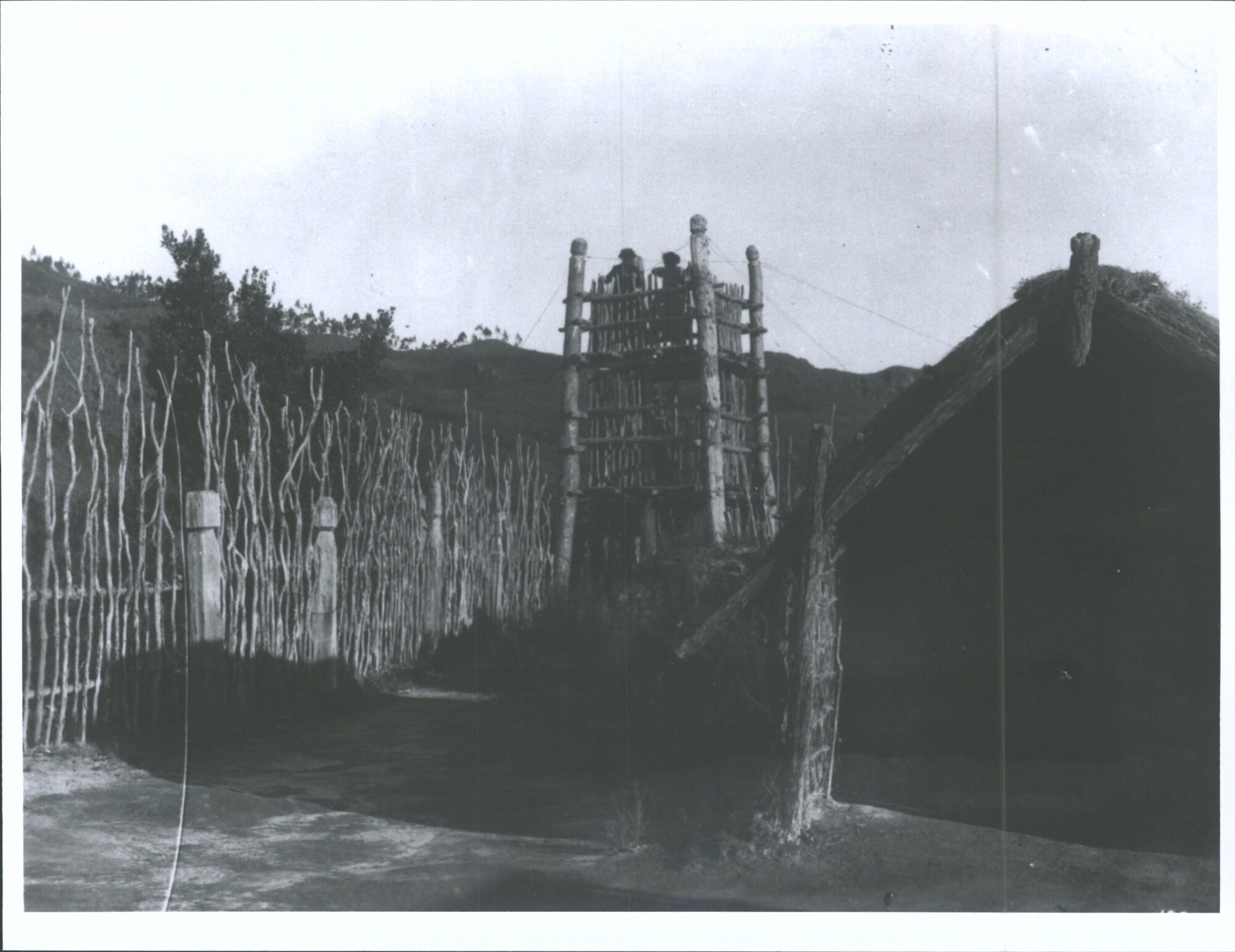 Inside the Model Pa at Whakarewarewa