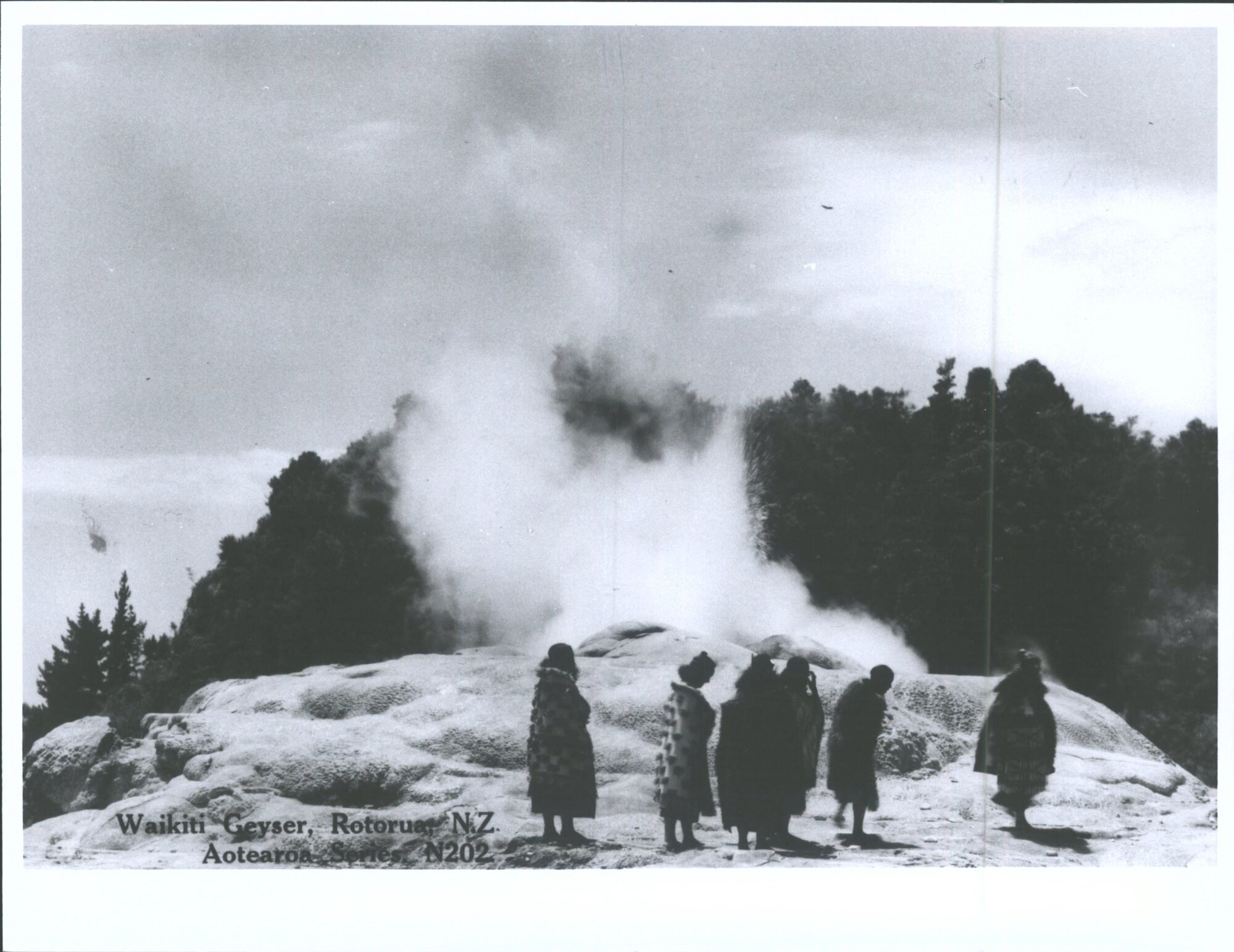Waikiti Geyser, Rotorua, N.Z.