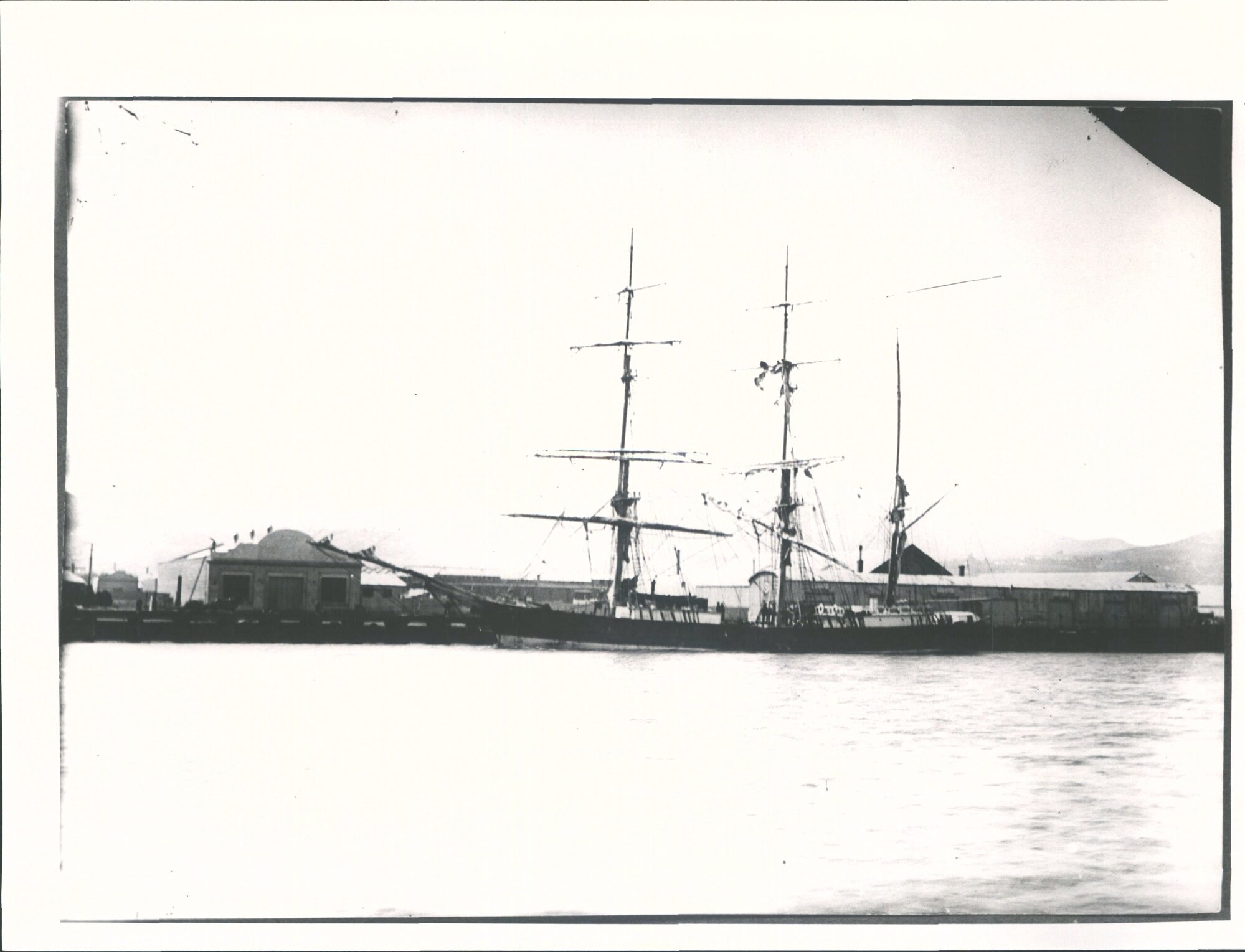 TIMARU BARQUE