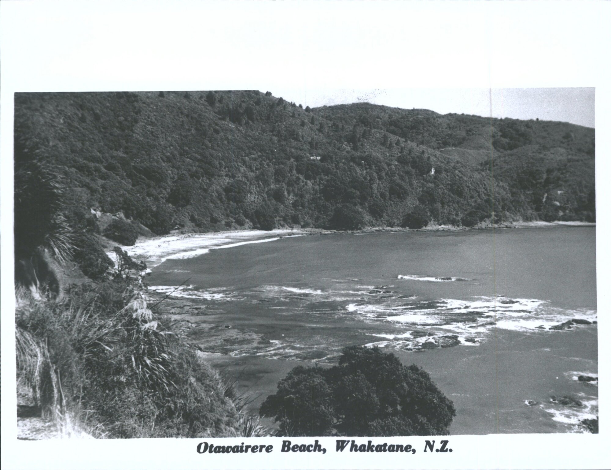 Otawirere Beach, Whakatane, N.Z.